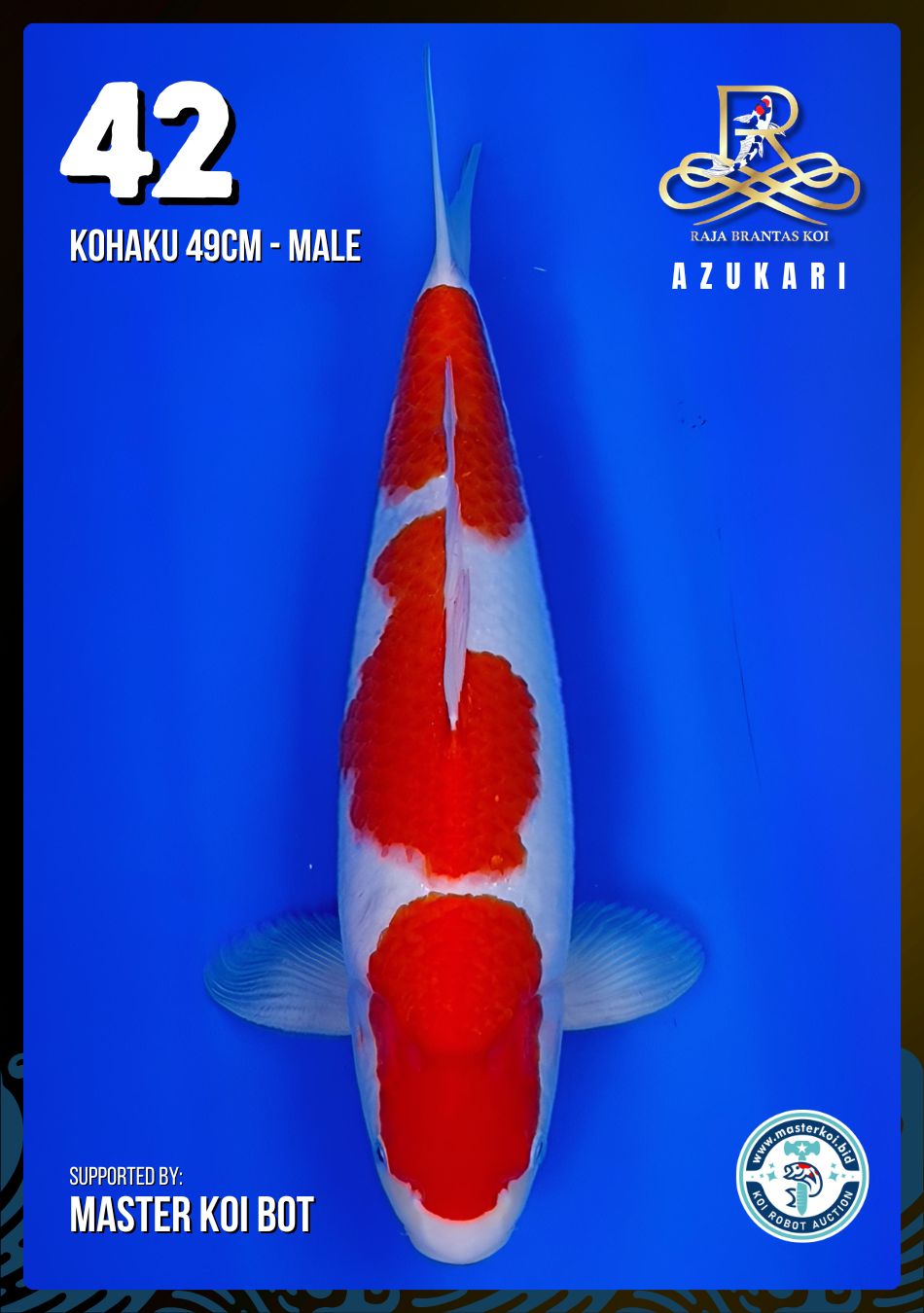 Lelang Koi Online, Jual Beli Ikan Koi, Pusat Jual Beli Koi, Info Lelang Koi Hari Ini, Platform Jual Beli Koi, Jual Beli Ikan Koi Online, Marketplace Ikan Koi, Jual Koi Terbaik, Tempat Beli Koi Berkualitas, Pasar Ikan Koi Online Terpercaya, Penjual Ikan Koi Terpercaya, Beli Koi Hias Online, Ikan Koi untuk Dijual, Koi Kualitas Terbaik, Toko Online Ikan Koi, Koi Hias Untuk Dijual, Jual Beli Ikan Koi Lokal, Koi Indonesia Online, Pusat Jual Beli Koi Terbesar