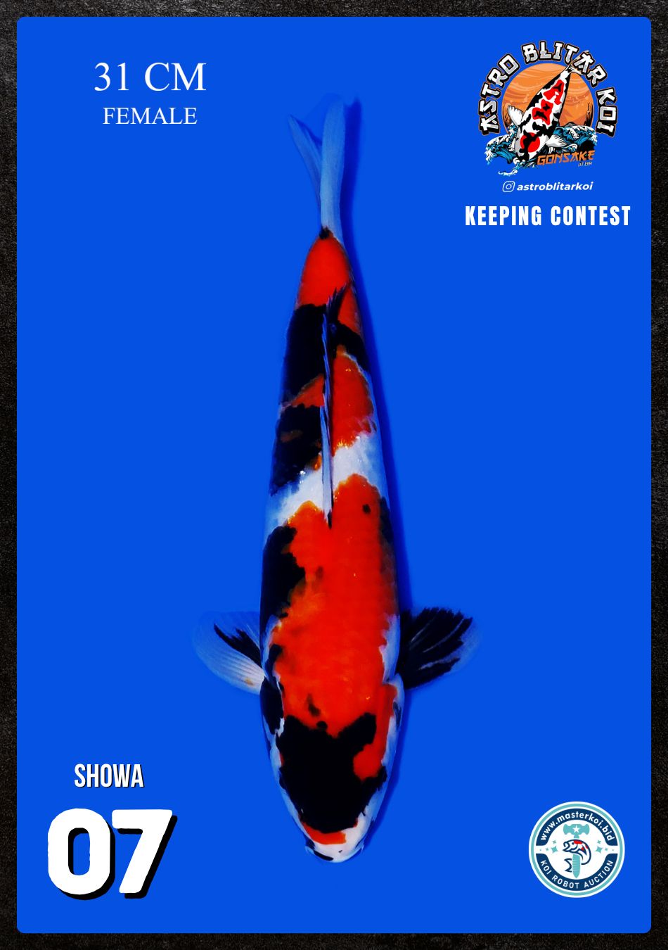 Lelang Koi Online, Jual Beli Ikan Koi, Pusat Jual Beli Koi, Info Lelang Koi Hari Ini, Platform Jual Beli Koi, Jual Beli Ikan Koi Online, Marketplace Ikan Koi, Jual Koi Terbaik, Tempat Beli Koi Berkualitas, Pasar Ikan Koi Online Terpercaya, Penjual Ikan Koi Terpercaya, Beli Koi Hias Online, Ikan Koi untuk Dijual, Koi Kualitas Terbaik, Toko Online Ikan Koi, Koi Hias Untuk Dijual, Jual Beli Ikan Koi Lokal, Koi Indonesia Online, Pusat Jual Beli Koi Terbesar
