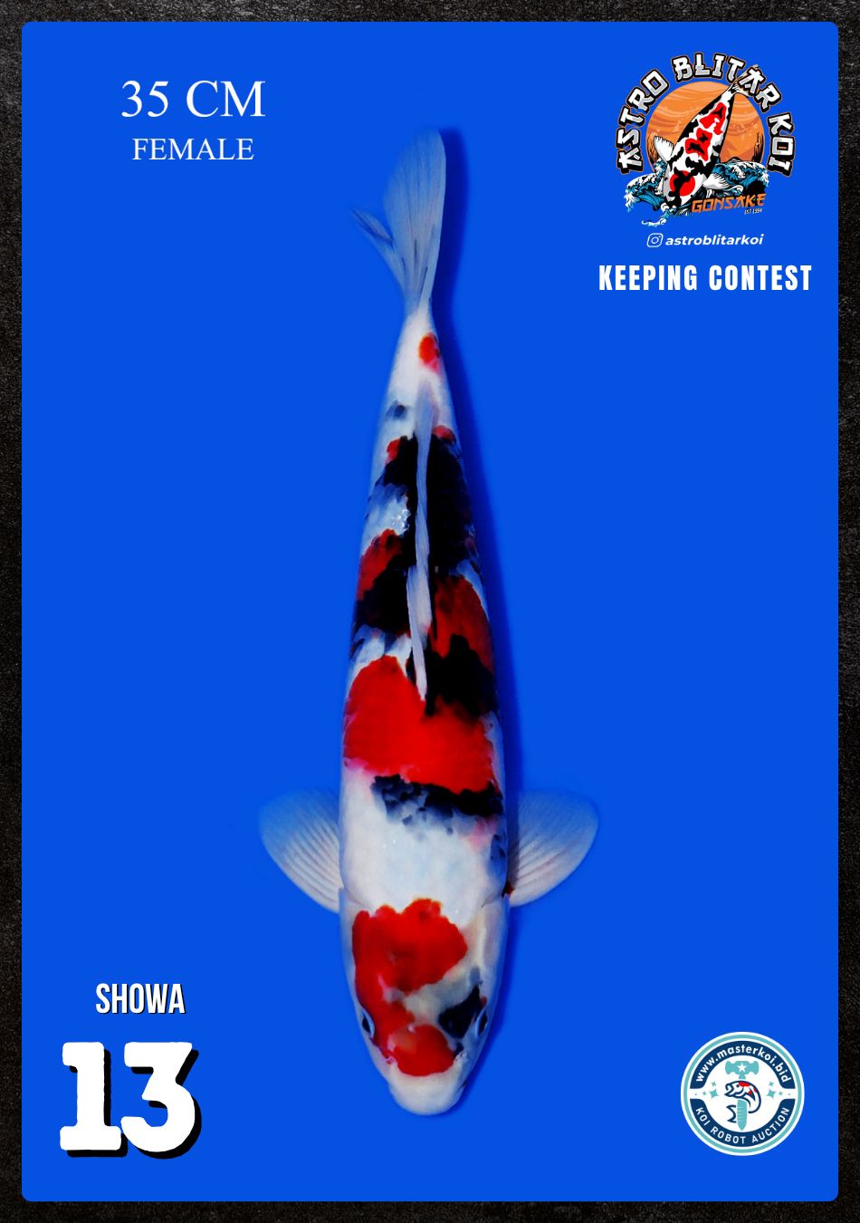 Lelang Koi Online, Jual Beli Ikan Koi, Pusat Jual Beli Koi, Info Lelang Koi Hari Ini, Platform Jual Beli Koi, Jual Beli Ikan Koi Online, Marketplace Ikan Koi, Jual Koi Terbaik, Tempat Beli Koi Berkualitas, Pasar Ikan Koi Online Terpercaya, Penjual Ikan Koi Terpercaya, Beli Koi Hias Online, Ikan Koi untuk Dijual, Koi Kualitas Terbaik, Toko Online Ikan Koi, Koi Hias Untuk Dijual, Jual Beli Ikan Koi Lokal, Koi Indonesia Online, Pusat Jual Beli Koi Terbesar