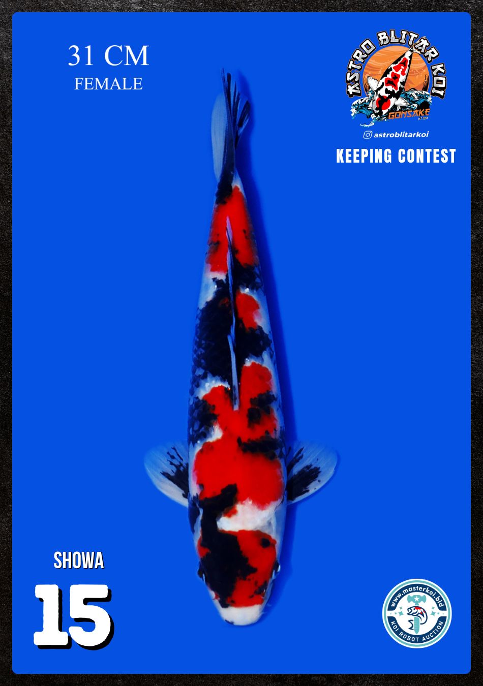 Lelang Koi Online, Jual Beli Ikan Koi, Pusat Jual Beli Koi, Info Lelang Koi Hari Ini, Platform Jual Beli Koi, Jual Beli Ikan Koi Online, Marketplace Ikan Koi, Jual Koi Terbaik, Tempat Beli Koi Berkualitas, Pasar Ikan Koi Online Terpercaya, Penjual Ikan Koi Terpercaya, Beli Koi Hias Online, Ikan Koi untuk Dijual, Koi Kualitas Terbaik, Toko Online Ikan Koi, Koi Hias Untuk Dijual, Jual Beli Ikan Koi Lokal, Koi Indonesia Online, Pusat Jual Beli Koi Terbesar