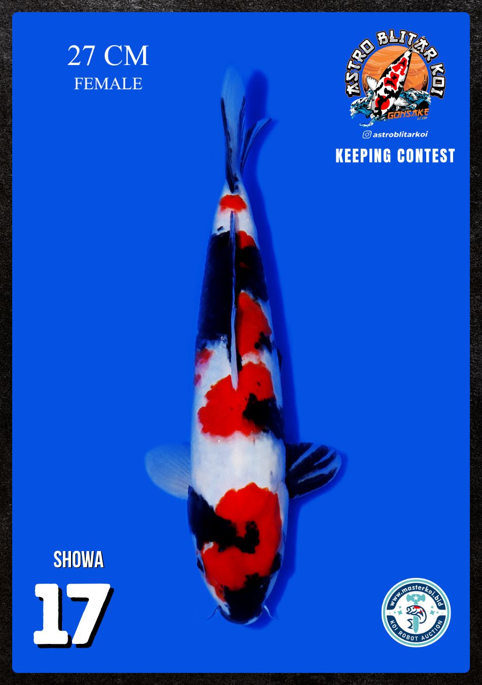 Lelang Koi Online, Jual Beli Ikan Koi, Pusat Jual Beli Koi, Info Lelang Koi Hari Ini, Platform Jual Beli Koi, Jual Beli Ikan Koi Online, Marketplace Ikan Koi, Jual Koi Terbaik, Tempat Beli Koi Berkualitas, Pasar Ikan Koi Online Terpercaya, Penjual Ikan Koi Terpercaya, Beli Koi Hias Online, Ikan Koi untuk Dijual, Koi Kualitas Terbaik, Toko Online Ikan Koi, Koi Hias Untuk Dijual, Jual Beli Ikan Koi Lokal, Koi Indonesia Online, Pusat Jual Beli Koi Terbesar