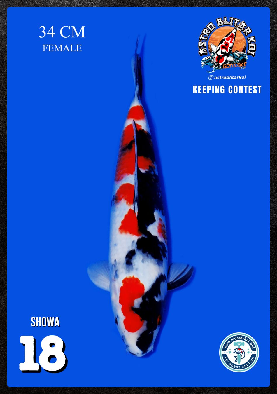 Lelang Koi Online, Jual Beli Ikan Koi, Pusat Jual Beli Koi, Info Lelang Koi Hari Ini, Platform Jual Beli Koi, Jual Beli Ikan Koi Online, Marketplace Ikan Koi, Jual Koi Terbaik, Tempat Beli Koi Berkualitas, Pasar Ikan Koi Online Terpercaya, Penjual Ikan Koi Terpercaya, Beli Koi Hias Online, Ikan Koi untuk Dijual, Koi Kualitas Terbaik, Toko Online Ikan Koi, Koi Hias Untuk Dijual, Jual Beli Ikan Koi Lokal, Koi Indonesia Online, Pusat Jual Beli Koi Terbesar