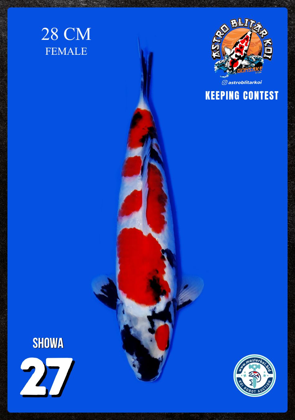 Lelang Koi Online, Jual Beli Ikan Koi, Pusat Jual Beli Koi, Info Lelang Koi Hari Ini, Platform Jual Beli Koi, Jual Beli Ikan Koi Online, Marketplace Ikan Koi, Jual Koi Terbaik, Tempat Beli Koi Berkualitas, Pasar Ikan Koi Online Terpercaya, Penjual Ikan Koi Terpercaya, Beli Koi Hias Online, Ikan Koi untuk Dijual, Koi Kualitas Terbaik, Toko Online Ikan Koi, Koi Hias Untuk Dijual, Jual Beli Ikan Koi Lokal, Koi Indonesia Online, Pusat Jual Beli Koi Terbesar