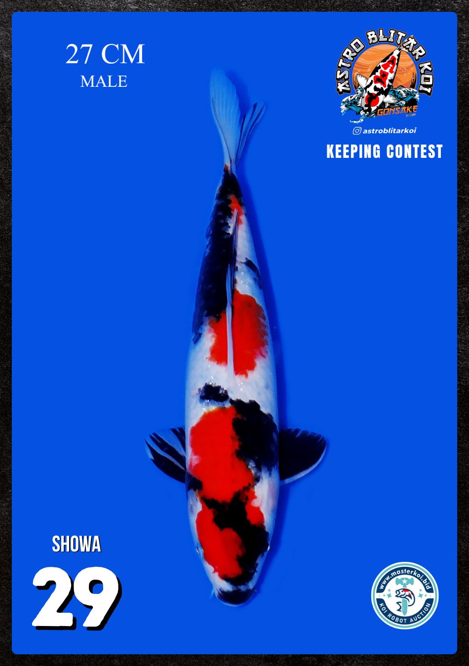 Lelang Koi Online, Jual Beli Ikan Koi, Pusat Jual Beli Koi, Info Lelang Koi Hari Ini, Platform Jual Beli Koi, Jual Beli Ikan Koi Online, Marketplace Ikan Koi, Jual Koi Terbaik, Tempat Beli Koi Berkualitas, Pasar Ikan Koi Online Terpercaya, Penjual Ikan Koi Terpercaya, Beli Koi Hias Online, Ikan Koi untuk Dijual, Koi Kualitas Terbaik, Toko Online Ikan Koi, Koi Hias Untuk Dijual, Jual Beli Ikan Koi Lokal, Koi Indonesia Online, Pusat Jual Beli Koi Terbesar