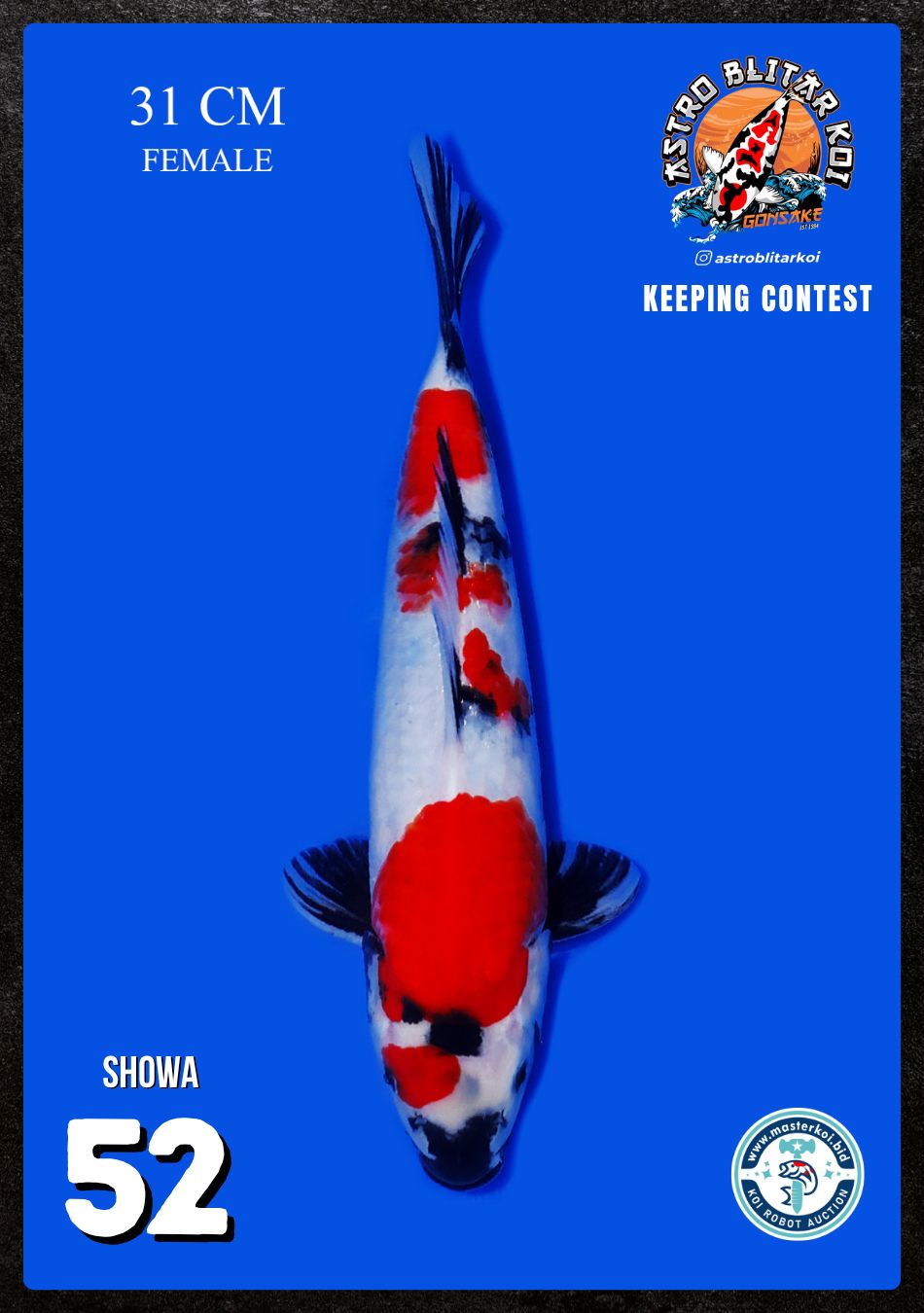 Lelang Koi Online, Jual Beli Ikan Koi, Pusat Jual Beli Koi, Info Lelang Koi Hari Ini, Platform Jual Beli Koi, Jual Beli Ikan Koi Online, Marketplace Ikan Koi, Jual Koi Terbaik, Tempat Beli Koi Berkualitas, Pasar Ikan Koi Online Terpercaya, Penjual Ikan Koi Terpercaya, Beli Koi Hias Online, Ikan Koi untuk Dijual, Koi Kualitas Terbaik, Toko Online Ikan Koi, Koi Hias Untuk Dijual, Jual Beli Ikan Koi Lokal, Koi Indonesia Online, Pusat Jual Beli Koi Terbesar