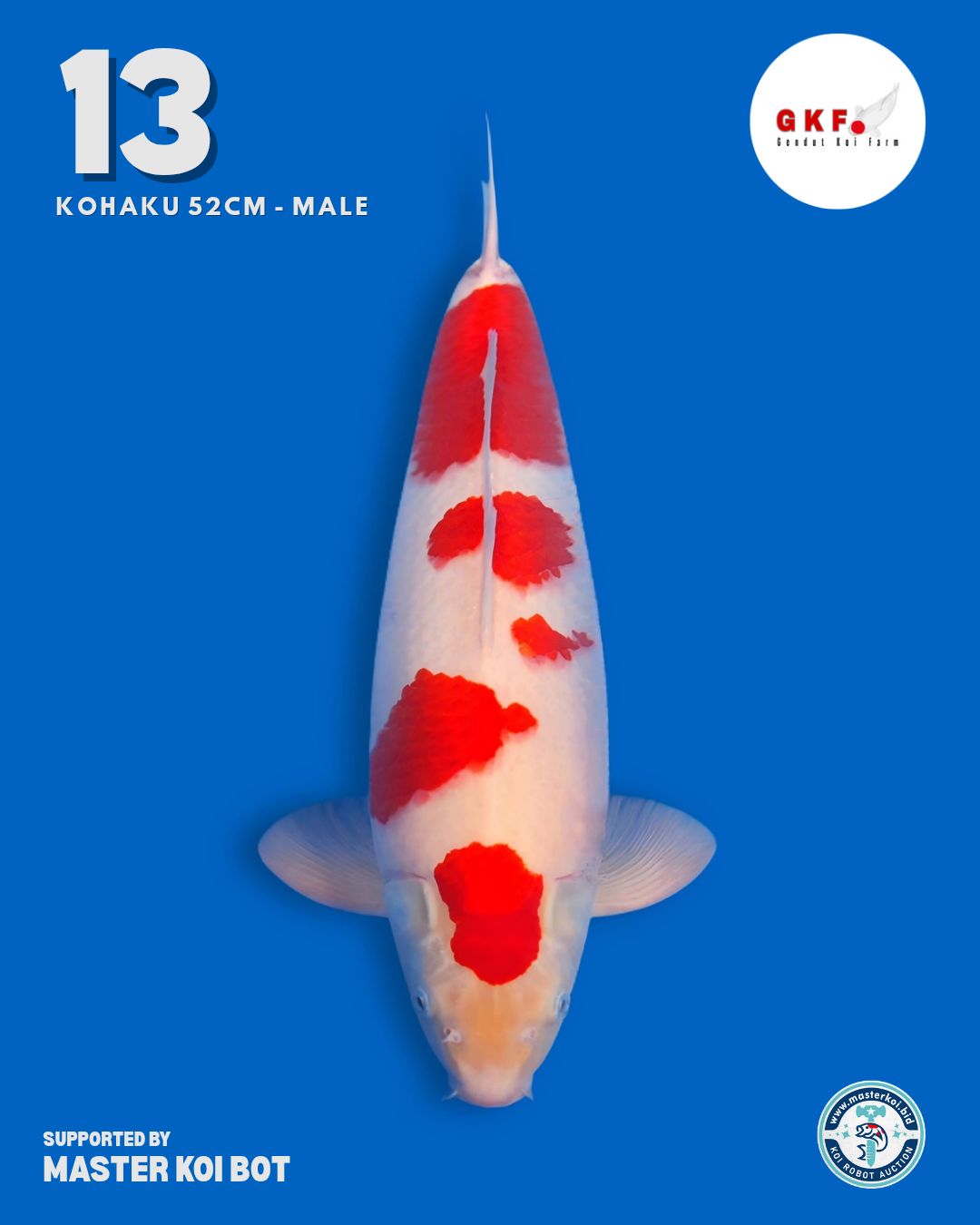Lelang Koi Online, Jual Beli Ikan Koi, Pusat Jual Beli Koi, Info Lelang Koi Hari Ini, Platform Jual Beli Koi, Jual Beli Ikan Koi Online, Marketplace Ikan Koi, Jual Koi Terbaik, Tempat Beli Koi Berkualitas, Pasar Ikan Koi Online Terpercaya, Penjual Ikan Koi Terpercaya, Beli Koi Hias Online, Ikan Koi untuk Dijual, Koi Kualitas Terbaik, Toko Online Ikan Koi, Koi Hias Untuk Dijual, Jual Beli Ikan Koi Lokal, Koi Indonesia Online, Pusat Jual Beli Koi Terbesar