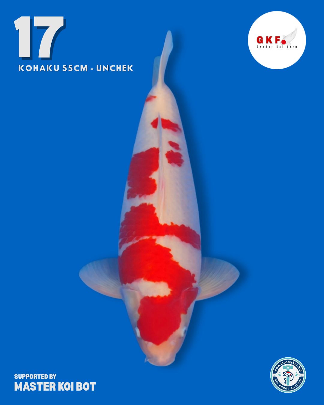 Lelang Koi Online, Jual Beli Ikan Koi, Pusat Jual Beli Koi, Info Lelang Koi Hari Ini, Platform Jual Beli Koi, Jual Beli Ikan Koi Online, Marketplace Ikan Koi, Jual Koi Terbaik, Tempat Beli Koi Berkualitas, Pasar Ikan Koi Online Terpercaya, Penjual Ikan Koi Terpercaya, Beli Koi Hias Online, Ikan Koi untuk Dijual, Koi Kualitas Terbaik, Toko Online Ikan Koi, Koi Hias Untuk Dijual, Jual Beli Ikan Koi Lokal, Koi Indonesia Online, Pusat Jual Beli Koi Terbesar