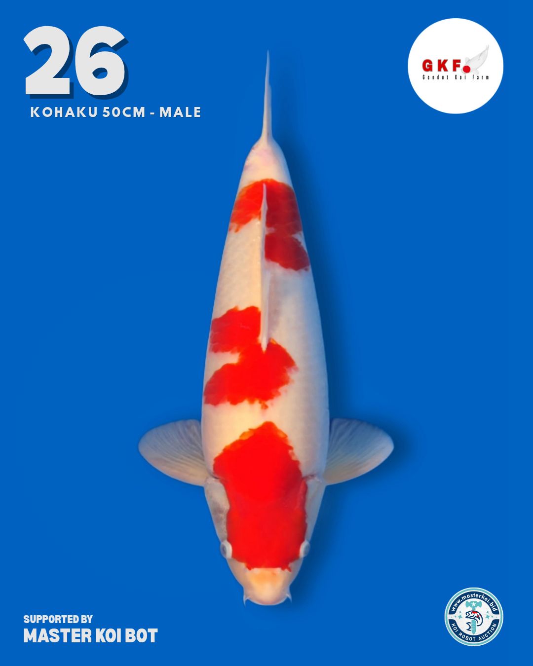 Lelang Koi Online, Jual Beli Ikan Koi, Pusat Jual Beli Koi, Info Lelang Koi Hari Ini, Platform Jual Beli Koi, Jual Beli Ikan Koi Online, Marketplace Ikan Koi, Jual Koi Terbaik, Tempat Beli Koi Berkualitas, Pasar Ikan Koi Online Terpercaya, Penjual Ikan Koi Terpercaya, Beli Koi Hias Online, Ikan Koi untuk Dijual, Koi Kualitas Terbaik, Toko Online Ikan Koi, Koi Hias Untuk Dijual, Jual Beli Ikan Koi Lokal, Koi Indonesia Online, Pusat Jual Beli Koi Terbesar