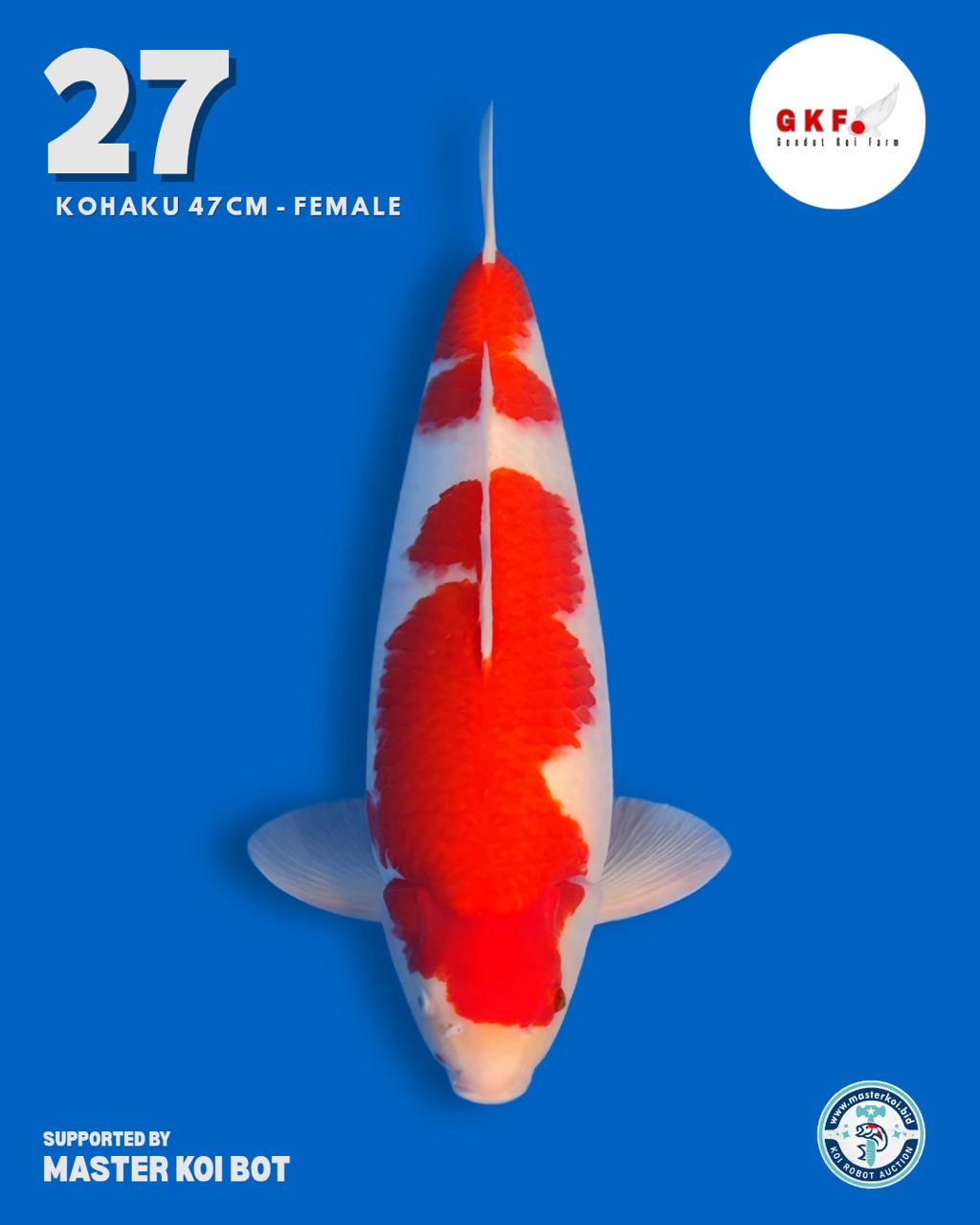 Lelang Koi Online, Jual Beli Ikan Koi, Pusat Jual Beli Koi, Info Lelang Koi Hari Ini, Platform Jual Beli Koi, Jual Beli Ikan Koi Online, Marketplace Ikan Koi, Jual Koi Terbaik, Tempat Beli Koi Berkualitas, Pasar Ikan Koi Online Terpercaya, Penjual Ikan Koi Terpercaya, Beli Koi Hias Online, Ikan Koi untuk Dijual, Koi Kualitas Terbaik, Toko Online Ikan Koi, Koi Hias Untuk Dijual, Jual Beli Ikan Koi Lokal, Koi Indonesia Online, Pusat Jual Beli Koi Terbesar
