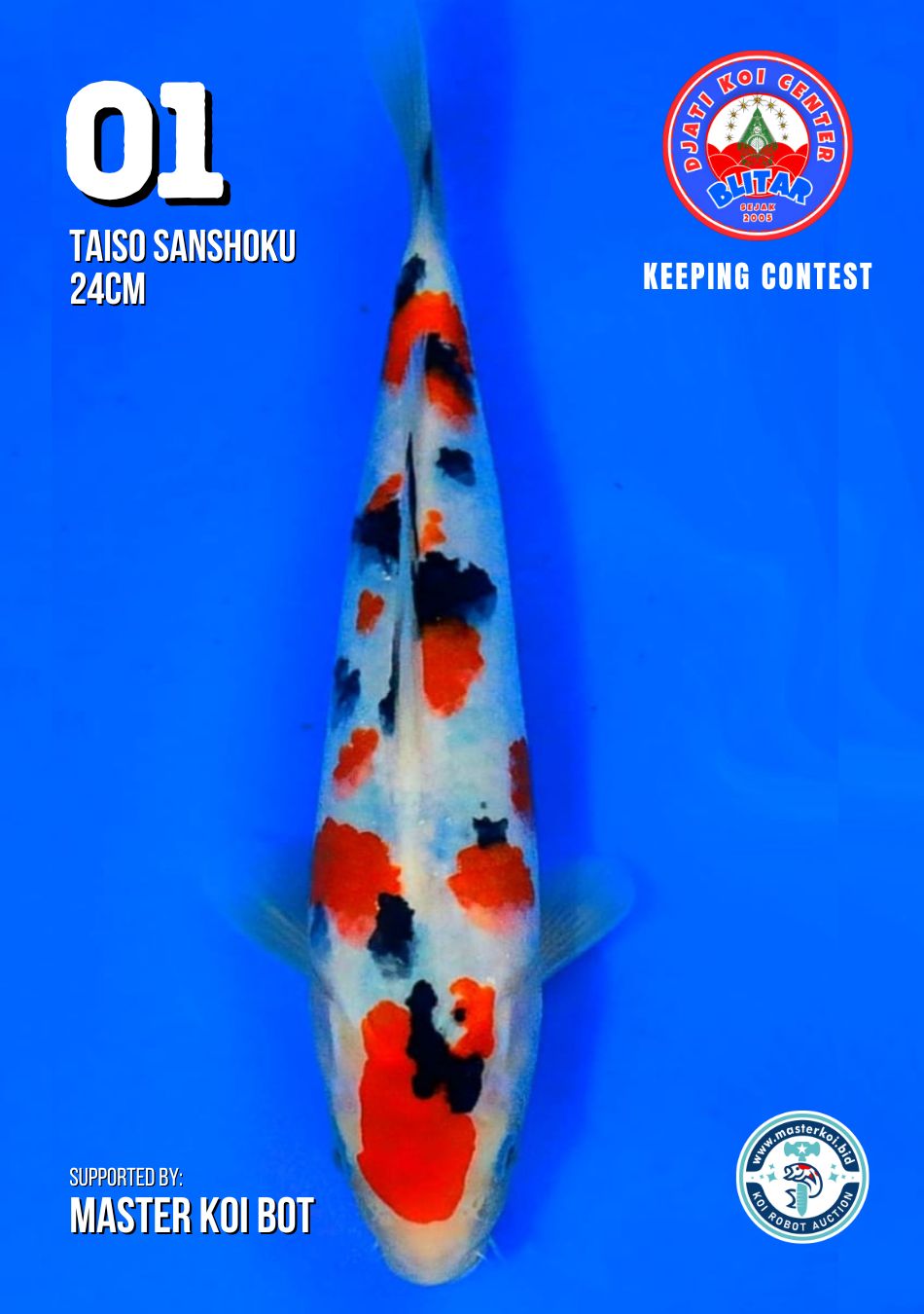 Lelang Koi Online, Jual Beli Ikan Koi, Pusat Jual Beli Koi, Info Lelang Koi Hari Ini, Platform Jual Beli Koi, Jual Beli Ikan Koi Online, Marketplace Ikan Koi, Jual Koi Terbaik, Tempat Beli Koi Berkualitas, Pasar Ikan Koi Online Terpercaya, Penjual Ikan Koi Terpercaya, Beli Koi Hias Online, Ikan Koi untuk Dijual, Koi Kualitas Terbaik, Toko Online Ikan Koi, Koi Hias Untuk Dijual, Jual Beli Ikan Koi Lokal, Koi Indonesia Online, Pusat Jual Beli Koi Terbesar
