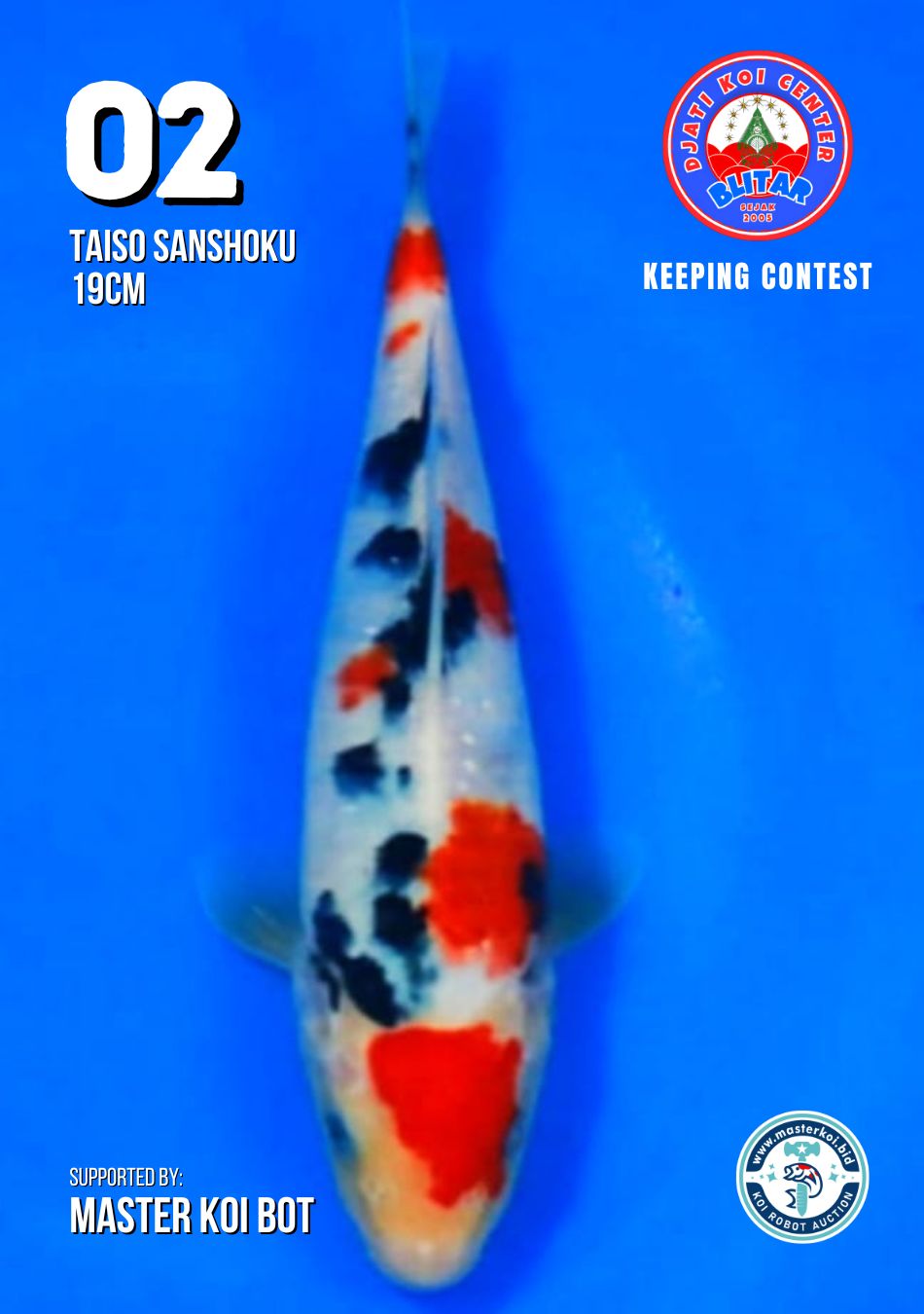 Lelang Koi Online, Jual Beli Ikan Koi, Pusat Jual Beli Koi, Info Lelang Koi Hari Ini, Platform Jual Beli Koi, Jual Beli Ikan Koi Online, Marketplace Ikan Koi, Jual Koi Terbaik, Tempat Beli Koi Berkualitas, Pasar Ikan Koi Online Terpercaya, Penjual Ikan Koi Terpercaya, Beli Koi Hias Online, Ikan Koi untuk Dijual, Koi Kualitas Terbaik, Toko Online Ikan Koi, Koi Hias Untuk Dijual, Jual Beli Ikan Koi Lokal, Koi Indonesia Online, Pusat Jual Beli Koi Terbesar