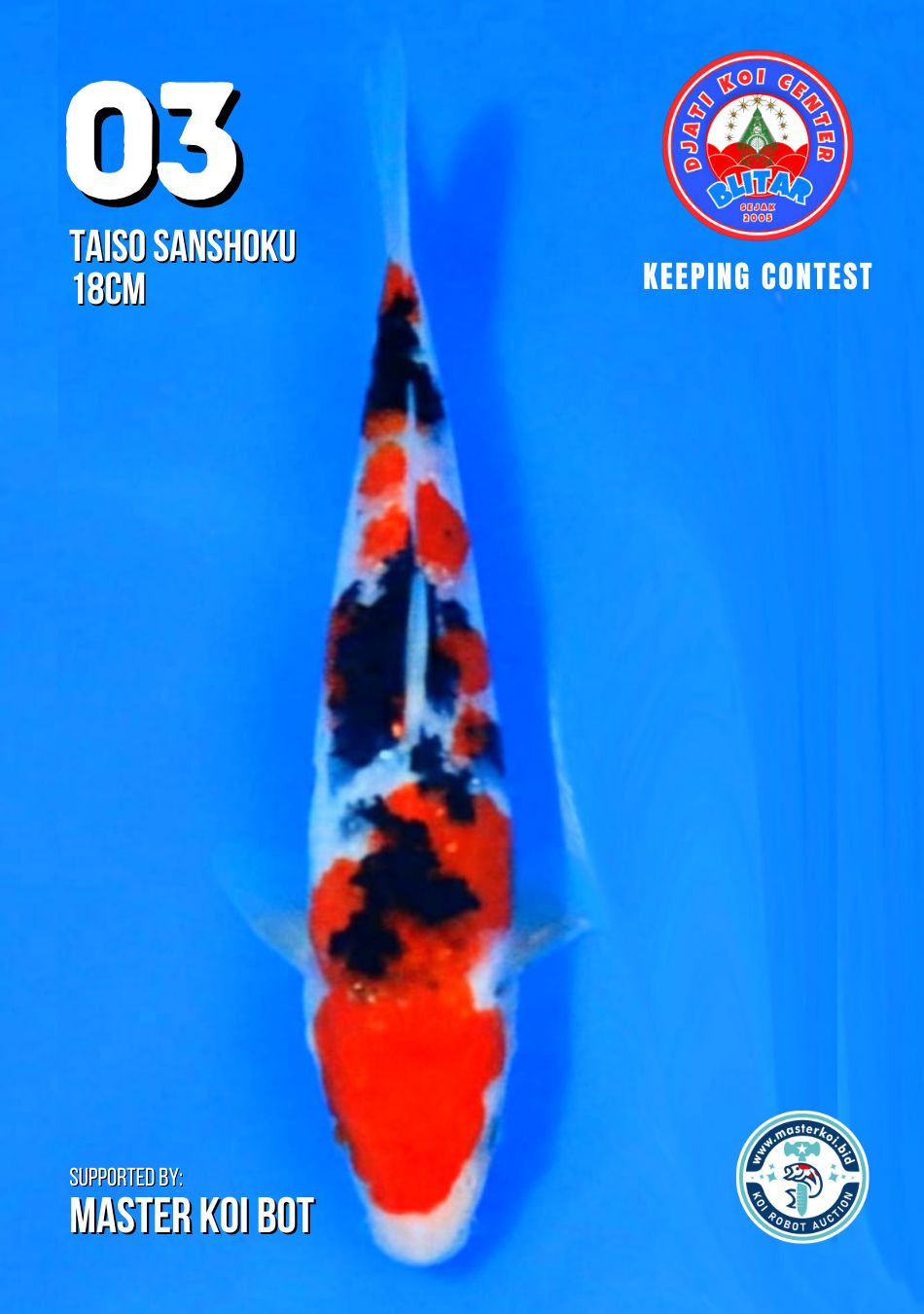 Lelang Koi Online, Jual Beli Ikan Koi, Pusat Jual Beli Koi, Info Lelang Koi Hari Ini, Platform Jual Beli Koi, Jual Beli Ikan Koi Online, Marketplace Ikan Koi, Jual Koi Terbaik, Tempat Beli Koi Berkualitas, Pasar Ikan Koi Online Terpercaya, Penjual Ikan Koi Terpercaya, Beli Koi Hias Online, Ikan Koi untuk Dijual, Koi Kualitas Terbaik, Toko Online Ikan Koi, Koi Hias Untuk Dijual, Jual Beli Ikan Koi Lokal, Koi Indonesia Online, Pusat Jual Beli Koi Terbesar