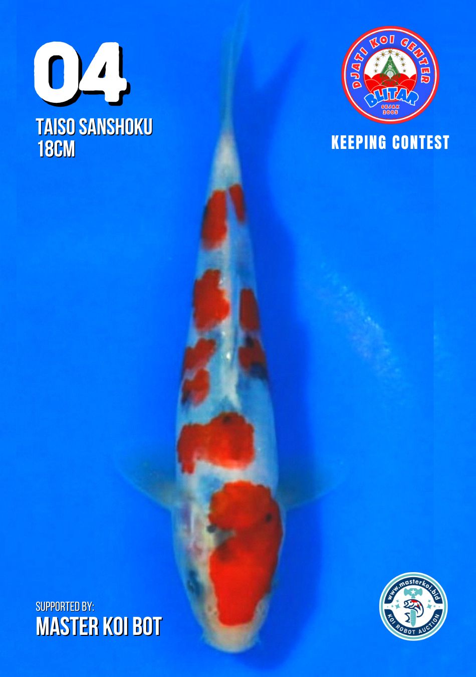 Lelang Koi Online, Jual Beli Ikan Koi, Pusat Jual Beli Koi, Info Lelang Koi Hari Ini, Platform Jual Beli Koi, Jual Beli Ikan Koi Online, Marketplace Ikan Koi, Jual Koi Terbaik, Tempat Beli Koi Berkualitas, Pasar Ikan Koi Online Terpercaya, Penjual Ikan Koi Terpercaya, Beli Koi Hias Online, Ikan Koi untuk Dijual, Koi Kualitas Terbaik, Toko Online Ikan Koi, Koi Hias Untuk Dijual, Jual Beli Ikan Koi Lokal, Koi Indonesia Online, Pusat Jual Beli Koi Terbesar
