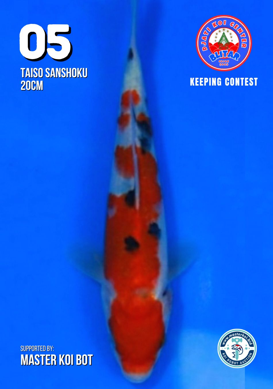 Lelang Koi Online, Jual Beli Ikan Koi, Pusat Jual Beli Koi, Info Lelang Koi Hari Ini, Platform Jual Beli Koi, Jual Beli Ikan Koi Online, Marketplace Ikan Koi, Jual Koi Terbaik, Tempat Beli Koi Berkualitas, Pasar Ikan Koi Online Terpercaya, Penjual Ikan Koi Terpercaya, Beli Koi Hias Online, Ikan Koi untuk Dijual, Koi Kualitas Terbaik, Toko Online Ikan Koi, Koi Hias Untuk Dijual, Jual Beli Ikan Koi Lokal, Koi Indonesia Online, Pusat Jual Beli Koi Terbesar
