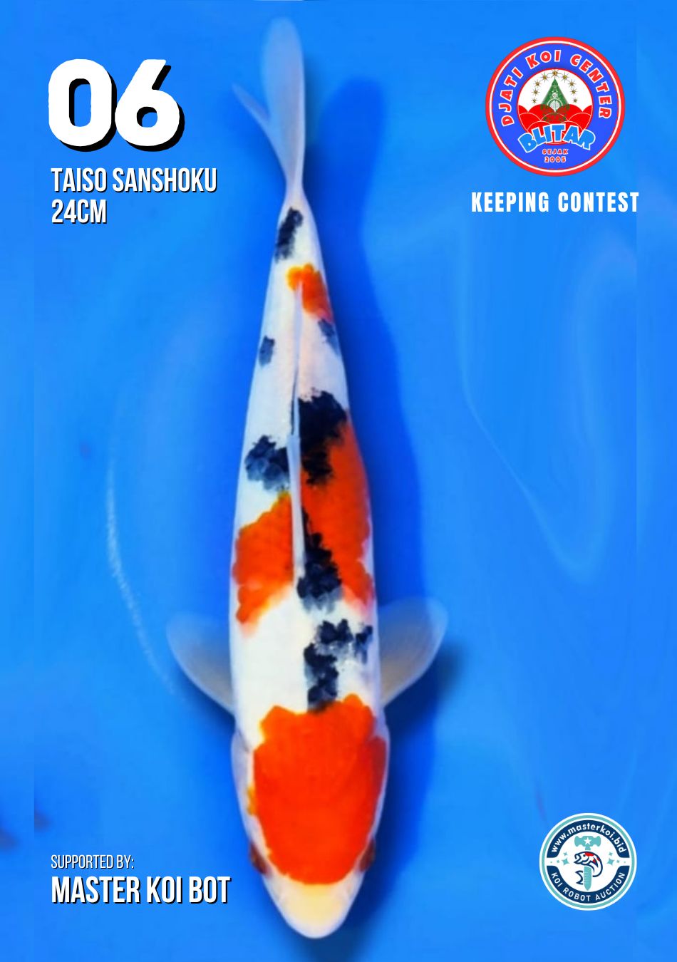 Lelang Koi Online, Jual Beli Ikan Koi, Pusat Jual Beli Koi, Info Lelang Koi Hari Ini, Platform Jual Beli Koi, Jual Beli Ikan Koi Online, Marketplace Ikan Koi, Jual Koi Terbaik, Tempat Beli Koi Berkualitas, Pasar Ikan Koi Online Terpercaya, Penjual Ikan Koi Terpercaya, Beli Koi Hias Online, Ikan Koi untuk Dijual, Koi Kualitas Terbaik, Toko Online Ikan Koi, Koi Hias Untuk Dijual, Jual Beli Ikan Koi Lokal, Koi Indonesia Online, Pusat Jual Beli Koi Terbesar