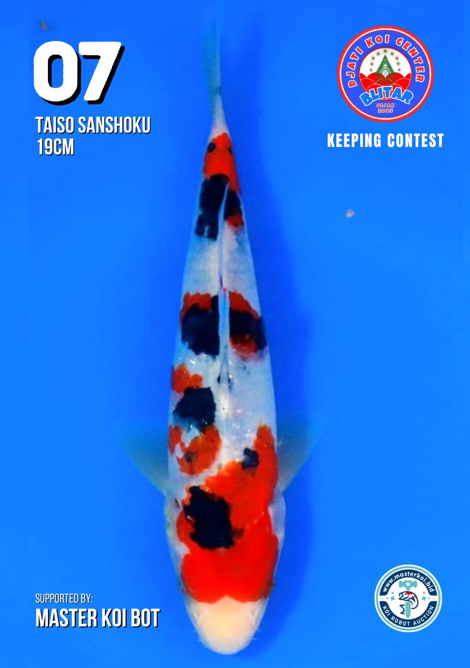 Lelang Koi Online, Jual Beli Ikan Koi, Pusat Jual Beli Koi, Info Lelang Koi Hari Ini, Platform Jual Beli Koi, Jual Beli Ikan Koi Online, Marketplace Ikan Koi, Jual Koi Terbaik, Tempat Beli Koi Berkualitas, Pasar Ikan Koi Online Terpercaya, Penjual Ikan Koi Terpercaya, Beli Koi Hias Online, Ikan Koi untuk Dijual, Koi Kualitas Terbaik, Toko Online Ikan Koi, Koi Hias Untuk Dijual, Jual Beli Ikan Koi Lokal, Koi Indonesia Online, Pusat Jual Beli Koi Terbesar