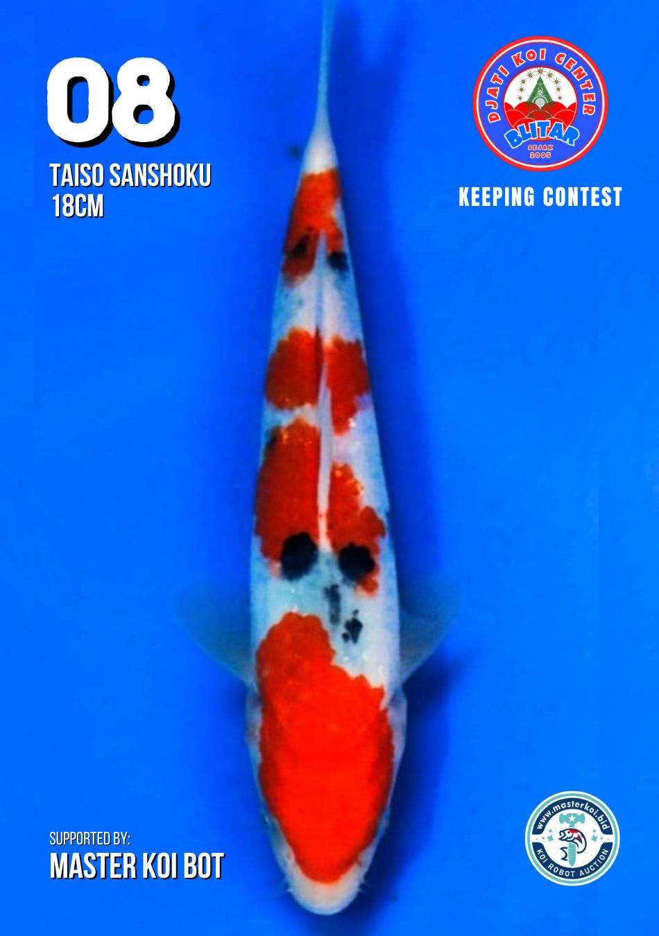Lelang Koi Online, Jual Beli Ikan Koi, Pusat Jual Beli Koi, Info Lelang Koi Hari Ini, Platform Jual Beli Koi, Jual Beli Ikan Koi Online, Marketplace Ikan Koi, Jual Koi Terbaik, Tempat Beli Koi Berkualitas, Pasar Ikan Koi Online Terpercaya, Penjual Ikan Koi Terpercaya, Beli Koi Hias Online, Ikan Koi untuk Dijual, Koi Kualitas Terbaik, Toko Online Ikan Koi, Koi Hias Untuk Dijual, Jual Beli Ikan Koi Lokal, Koi Indonesia Online, Pusat Jual Beli Koi Terbesar