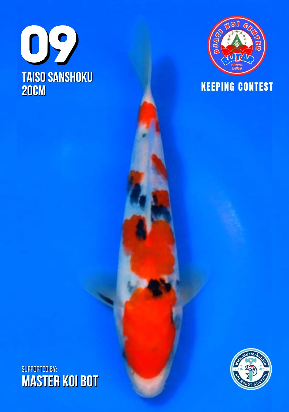 Lelang Koi Online, Jual Beli Ikan Koi, Pusat Jual Beli Koi, Info Lelang Koi Hari Ini, Platform Jual Beli Koi, Jual Beli Ikan Koi Online, Marketplace Ikan Koi, Jual Koi Terbaik, Tempat Beli Koi Berkualitas, Pasar Ikan Koi Online Terpercaya, Penjual Ikan Koi Terpercaya, Beli Koi Hias Online, Ikan Koi untuk Dijual, Koi Kualitas Terbaik, Toko Online Ikan Koi, Koi Hias Untuk Dijual, Jual Beli Ikan Koi Lokal, Koi Indonesia Online, Pusat Jual Beli Koi Terbesar