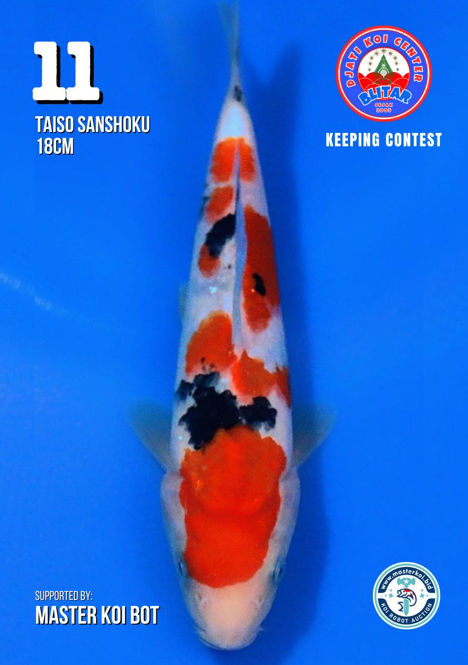Lelang Koi Online, Jual Beli Ikan Koi, Pusat Jual Beli Koi, Info Lelang Koi Hari Ini, Platform Jual Beli Koi, Jual Beli Ikan Koi Online, Marketplace Ikan Koi, Jual Koi Terbaik, Tempat Beli Koi Berkualitas, Pasar Ikan Koi Online Terpercaya, Penjual Ikan Koi Terpercaya, Beli Koi Hias Online, Ikan Koi untuk Dijual, Koi Kualitas Terbaik, Toko Online Ikan Koi, Koi Hias Untuk Dijual, Jual Beli Ikan Koi Lokal, Koi Indonesia Online, Pusat Jual Beli Koi Terbesar