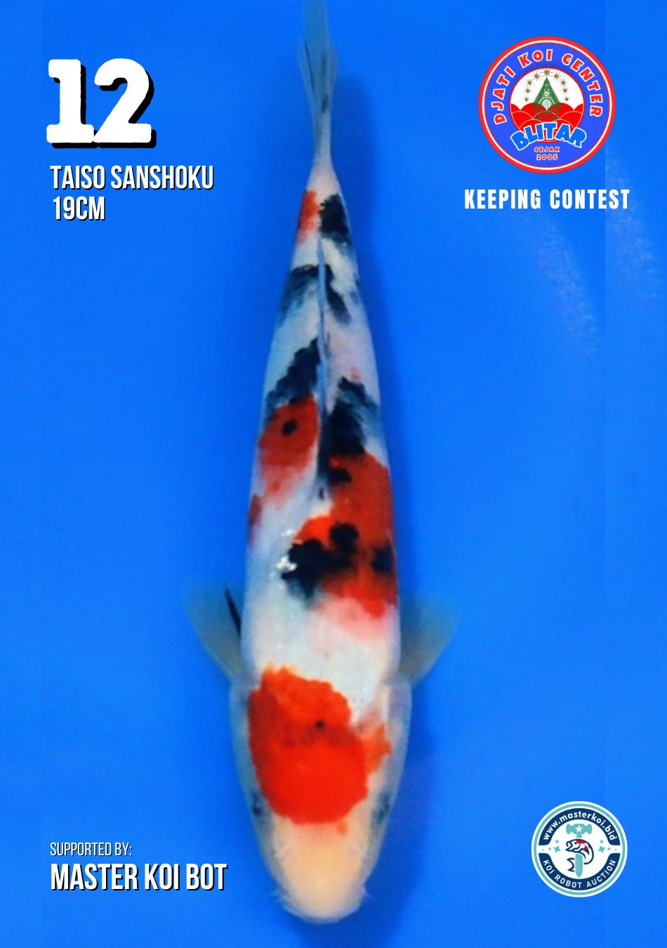 Lelang Koi Online, Jual Beli Ikan Koi, Pusat Jual Beli Koi, Info Lelang Koi Hari Ini, Platform Jual Beli Koi, Jual Beli Ikan Koi Online, Marketplace Ikan Koi, Jual Koi Terbaik, Tempat Beli Koi Berkualitas, Pasar Ikan Koi Online Terpercaya, Penjual Ikan Koi Terpercaya, Beli Koi Hias Online, Ikan Koi untuk Dijual, Koi Kualitas Terbaik, Toko Online Ikan Koi, Koi Hias Untuk Dijual, Jual Beli Ikan Koi Lokal, Koi Indonesia Online, Pusat Jual Beli Koi Terbesar