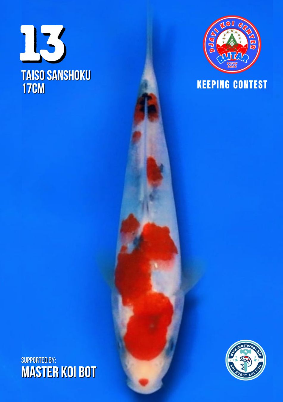 Lelang Koi Online, Jual Beli Ikan Koi, Pusat Jual Beli Koi, Info Lelang Koi Hari Ini, Platform Jual Beli Koi, Jual Beli Ikan Koi Online, Marketplace Ikan Koi, Jual Koi Terbaik, Tempat Beli Koi Berkualitas, Pasar Ikan Koi Online Terpercaya, Penjual Ikan Koi Terpercaya, Beli Koi Hias Online, Ikan Koi untuk Dijual, Koi Kualitas Terbaik, Toko Online Ikan Koi, Koi Hias Untuk Dijual, Jual Beli Ikan Koi Lokal, Koi Indonesia Online, Pusat Jual Beli Koi Terbesar