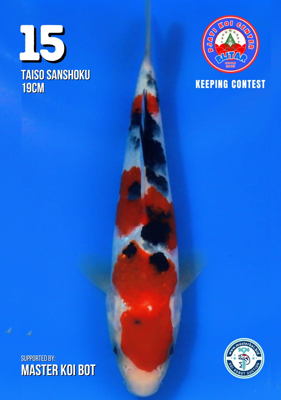 Lelang Koi Online, Jual Beli Ikan Koi, Pusat Jual Beli Koi, Info Lelang Koi Hari Ini, Platform Jual Beli Koi, Jual Beli Ikan Koi Online, Marketplace Ikan Koi, Jual Koi Terbaik, Tempat Beli Koi Berkualitas, Pasar Ikan Koi Online Terpercaya, Penjual Ikan Koi Terpercaya, Beli Koi Hias Online, Ikan Koi untuk Dijual, Koi Kualitas Terbaik, Toko Online Ikan Koi, Koi Hias Untuk Dijual, Jual Beli Ikan Koi Lokal, Koi Indonesia Online, Pusat Jual Beli Koi Terbesar