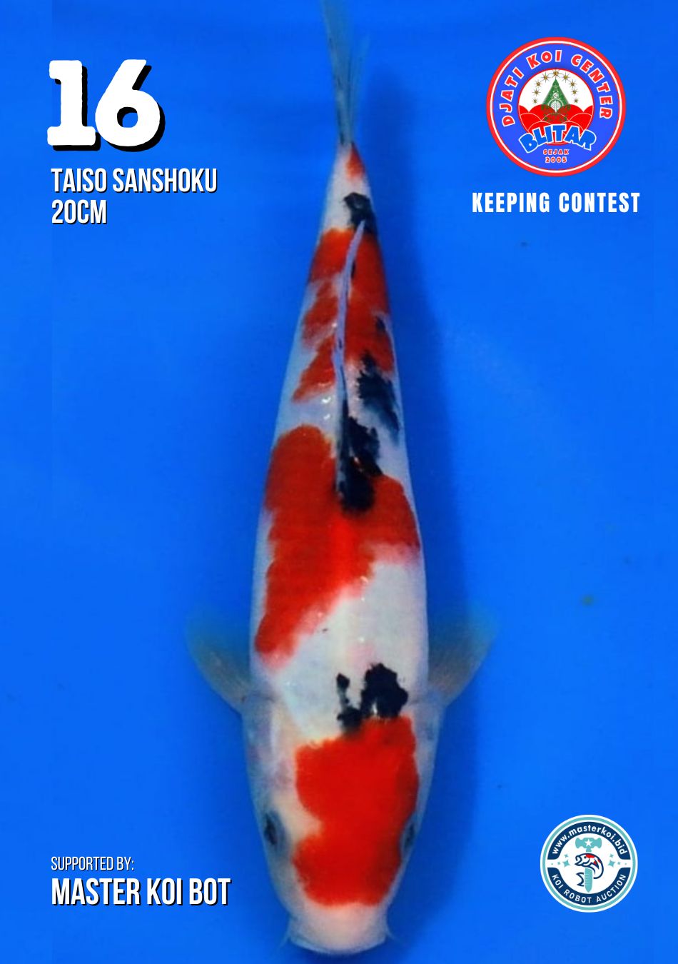 Lelang Koi Online, Jual Beli Ikan Koi, Pusat Jual Beli Koi, Info Lelang Koi Hari Ini, Platform Jual Beli Koi, Jual Beli Ikan Koi Online, Marketplace Ikan Koi, Jual Koi Terbaik, Tempat Beli Koi Berkualitas, Pasar Ikan Koi Online Terpercaya, Penjual Ikan Koi Terpercaya, Beli Koi Hias Online, Ikan Koi untuk Dijual, Koi Kualitas Terbaik, Toko Online Ikan Koi, Koi Hias Untuk Dijual, Jual Beli Ikan Koi Lokal, Koi Indonesia Online, Pusat Jual Beli Koi Terbesar