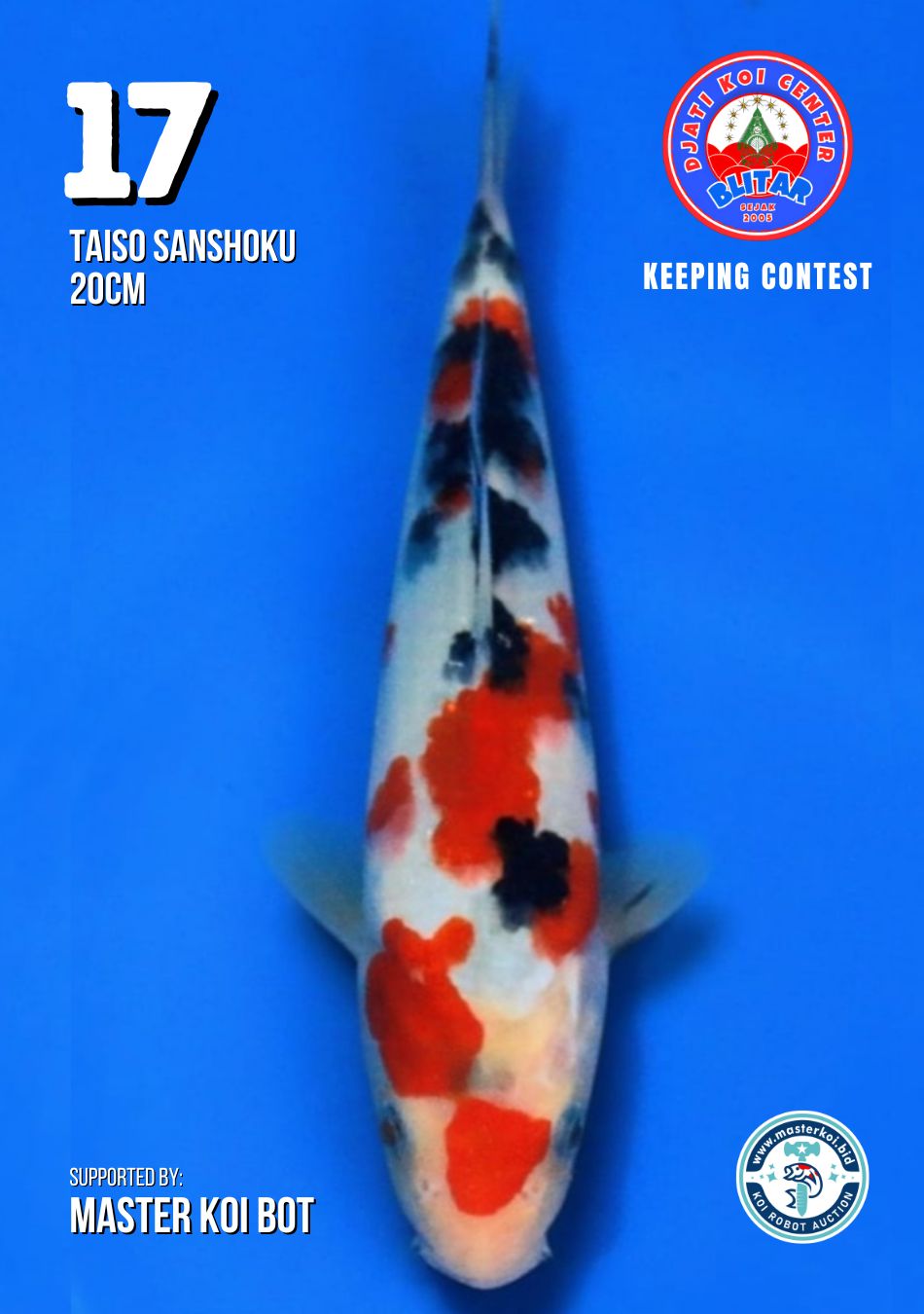 Lelang Koi Online, Jual Beli Ikan Koi, Pusat Jual Beli Koi, Info Lelang Koi Hari Ini, Platform Jual Beli Koi, Jual Beli Ikan Koi Online, Marketplace Ikan Koi, Jual Koi Terbaik, Tempat Beli Koi Berkualitas, Pasar Ikan Koi Online Terpercaya, Penjual Ikan Koi Terpercaya, Beli Koi Hias Online, Ikan Koi untuk Dijual, Koi Kualitas Terbaik, Toko Online Ikan Koi, Koi Hias Untuk Dijual, Jual Beli Ikan Koi Lokal, Koi Indonesia Online, Pusat Jual Beli Koi Terbesar