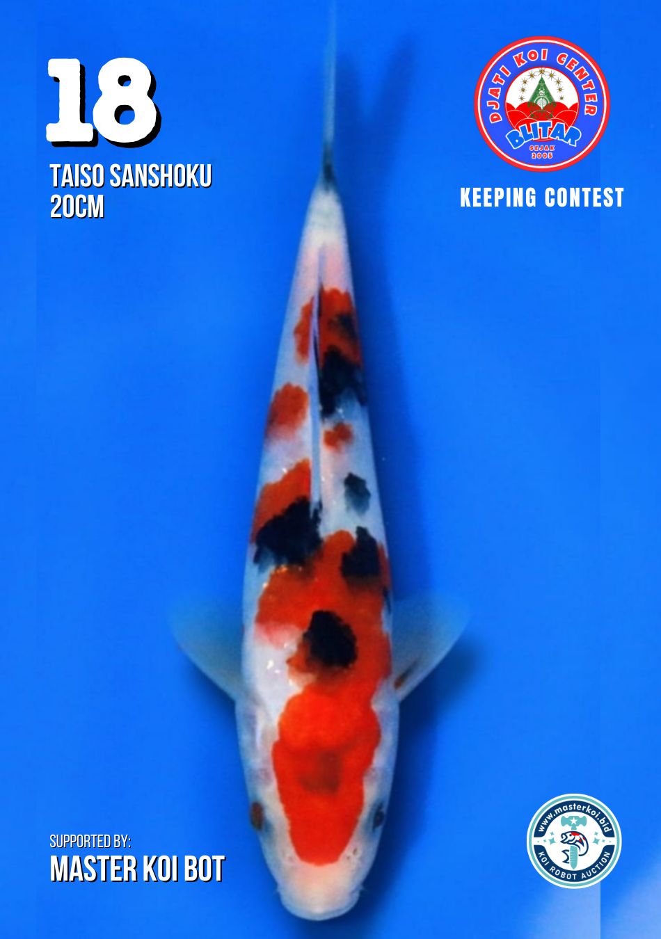Lelang Koi Online, Jual Beli Ikan Koi, Pusat Jual Beli Koi, Info Lelang Koi Hari Ini, Platform Jual Beli Koi, Jual Beli Ikan Koi Online, Marketplace Ikan Koi, Jual Koi Terbaik, Tempat Beli Koi Berkualitas, Pasar Ikan Koi Online Terpercaya, Penjual Ikan Koi Terpercaya, Beli Koi Hias Online, Ikan Koi untuk Dijual, Koi Kualitas Terbaik, Toko Online Ikan Koi, Koi Hias Untuk Dijual, Jual Beli Ikan Koi Lokal, Koi Indonesia Online, Pusat Jual Beli Koi Terbesar