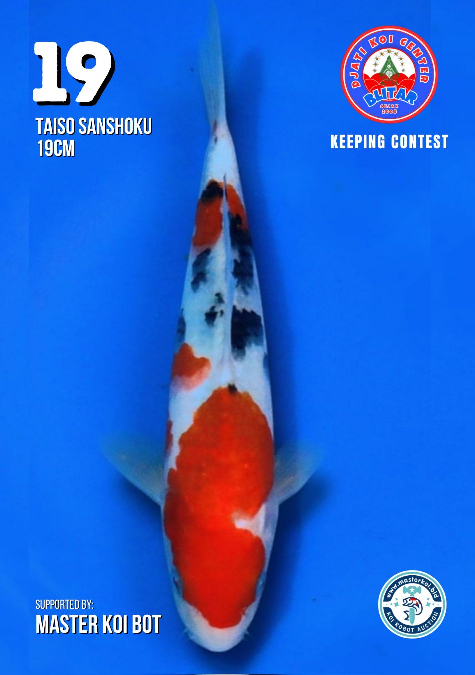 Lelang Koi Online, Jual Beli Ikan Koi, Pusat Jual Beli Koi, Info Lelang Koi Hari Ini, Platform Jual Beli Koi, Jual Beli Ikan Koi Online, Marketplace Ikan Koi, Jual Koi Terbaik, Tempat Beli Koi Berkualitas, Pasar Ikan Koi Online Terpercaya, Penjual Ikan Koi Terpercaya, Beli Koi Hias Online, Ikan Koi untuk Dijual, Koi Kualitas Terbaik, Toko Online Ikan Koi, Koi Hias Untuk Dijual, Jual Beli Ikan Koi Lokal, Koi Indonesia Online, Pusat Jual Beli Koi Terbesar