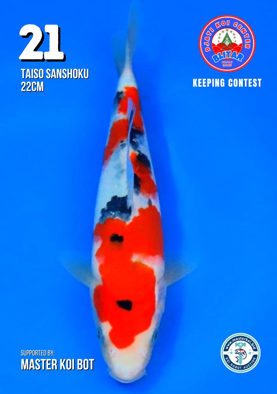 Lelang Koi Online, Jual Beli Ikan Koi, Pusat Jual Beli Koi, Info Lelang Koi Hari Ini, Platform Jual Beli Koi, Jual Beli Ikan Koi Online, Marketplace Ikan Koi, Jual Koi Terbaik, Tempat Beli Koi Berkualitas, Pasar Ikan Koi Online Terpercaya, Penjual Ikan Koi Terpercaya, Beli Koi Hias Online, Ikan Koi untuk Dijual, Koi Kualitas Terbaik, Toko Online Ikan Koi, Koi Hias Untuk Dijual, Jual Beli Ikan Koi Lokal, Koi Indonesia Online, Pusat Jual Beli Koi Terbesar