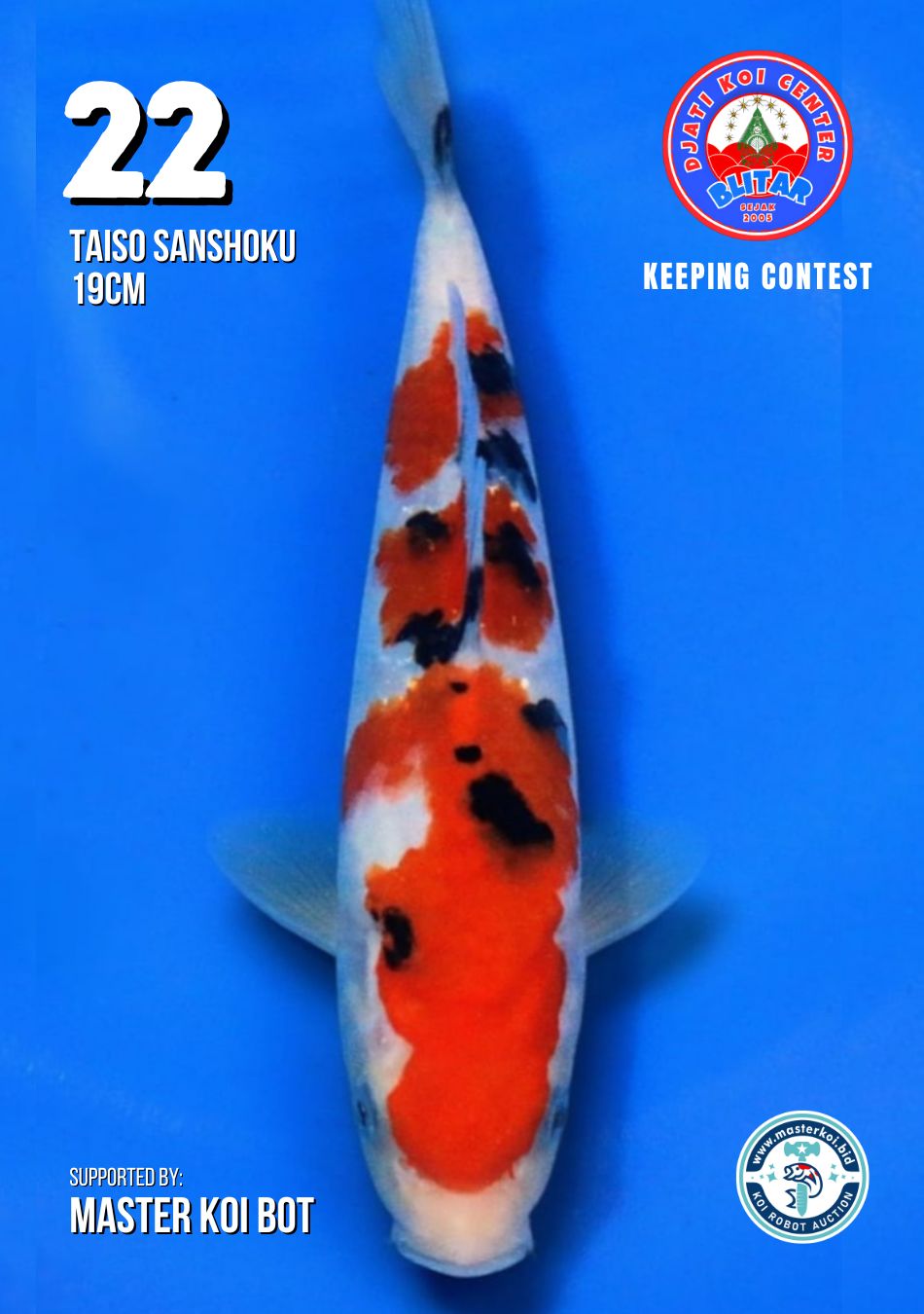Lelang Koi Online, Jual Beli Ikan Koi, Pusat Jual Beli Koi, Info Lelang Koi Hari Ini, Platform Jual Beli Koi, Jual Beli Ikan Koi Online, Marketplace Ikan Koi, Jual Koi Terbaik, Tempat Beli Koi Berkualitas, Pasar Ikan Koi Online Terpercaya, Penjual Ikan Koi Terpercaya, Beli Koi Hias Online, Ikan Koi untuk Dijual, Koi Kualitas Terbaik, Toko Online Ikan Koi, Koi Hias Untuk Dijual, Jual Beli Ikan Koi Lokal, Koi Indonesia Online, Pusat Jual Beli Koi Terbesar