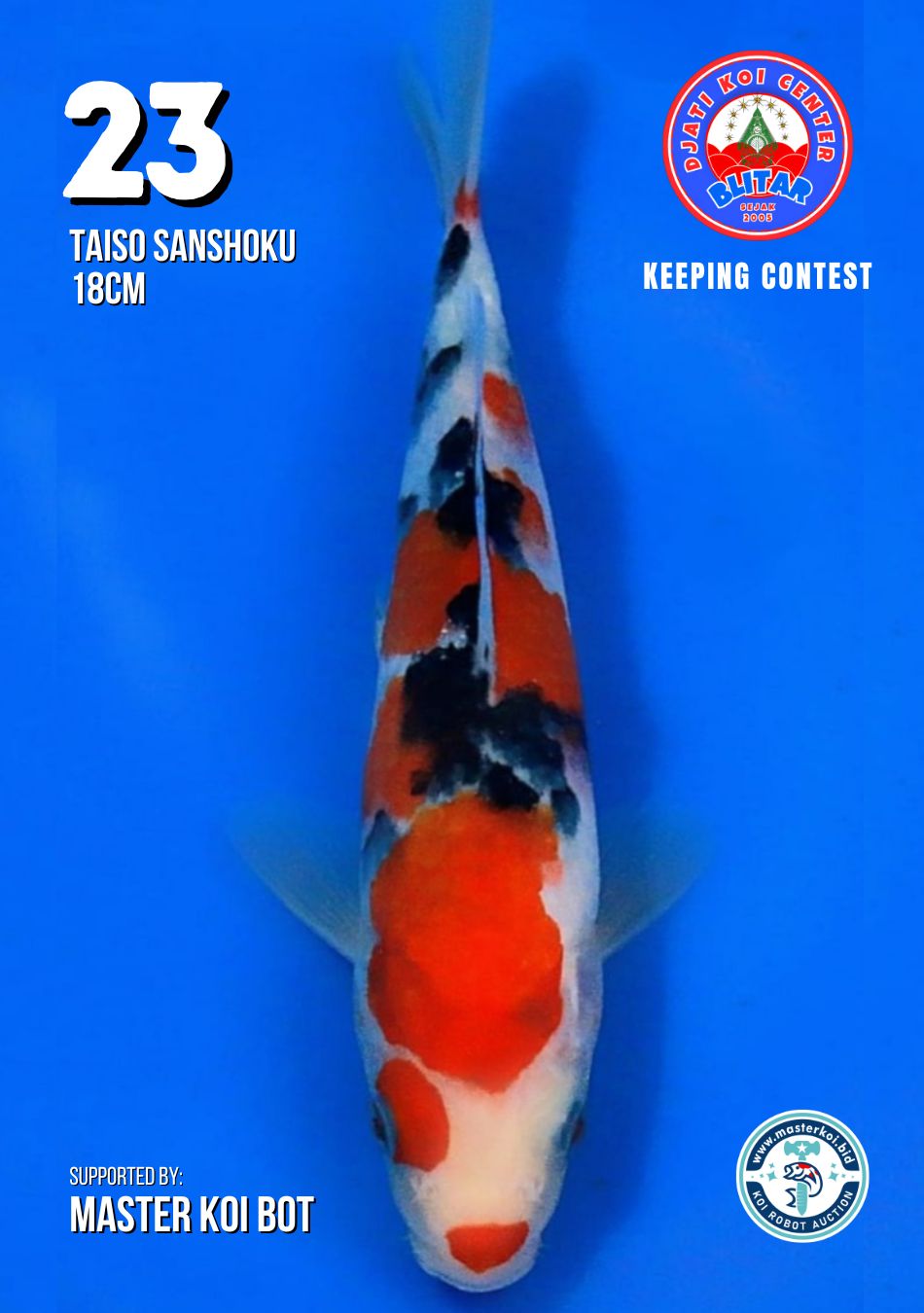 Lelang Koi Online, Jual Beli Ikan Koi, Pusat Jual Beli Koi, Info Lelang Koi Hari Ini, Platform Jual Beli Koi, Jual Beli Ikan Koi Online, Marketplace Ikan Koi, Jual Koi Terbaik, Tempat Beli Koi Berkualitas, Pasar Ikan Koi Online Terpercaya, Penjual Ikan Koi Terpercaya, Beli Koi Hias Online, Ikan Koi untuk Dijual, Koi Kualitas Terbaik, Toko Online Ikan Koi, Koi Hias Untuk Dijual, Jual Beli Ikan Koi Lokal, Koi Indonesia Online, Pusat Jual Beli Koi Terbesar