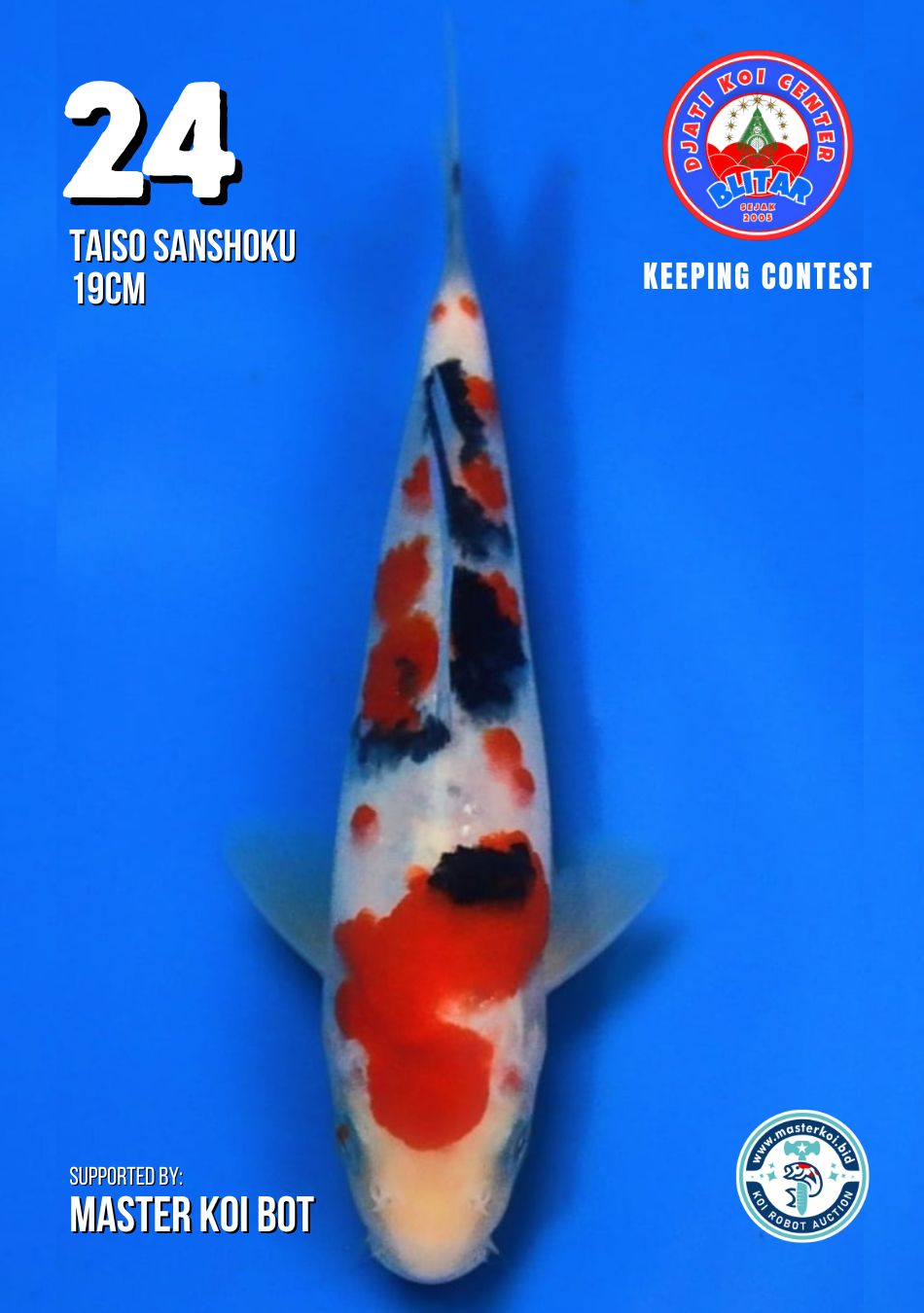 Lelang Koi Online, Jual Beli Ikan Koi, Pusat Jual Beli Koi, Info Lelang Koi Hari Ini, Platform Jual Beli Koi, Jual Beli Ikan Koi Online, Marketplace Ikan Koi, Jual Koi Terbaik, Tempat Beli Koi Berkualitas, Pasar Ikan Koi Online Terpercaya, Penjual Ikan Koi Terpercaya, Beli Koi Hias Online, Ikan Koi untuk Dijual, Koi Kualitas Terbaik, Toko Online Ikan Koi, Koi Hias Untuk Dijual, Jual Beli Ikan Koi Lokal, Koi Indonesia Online, Pusat Jual Beli Koi Terbesar