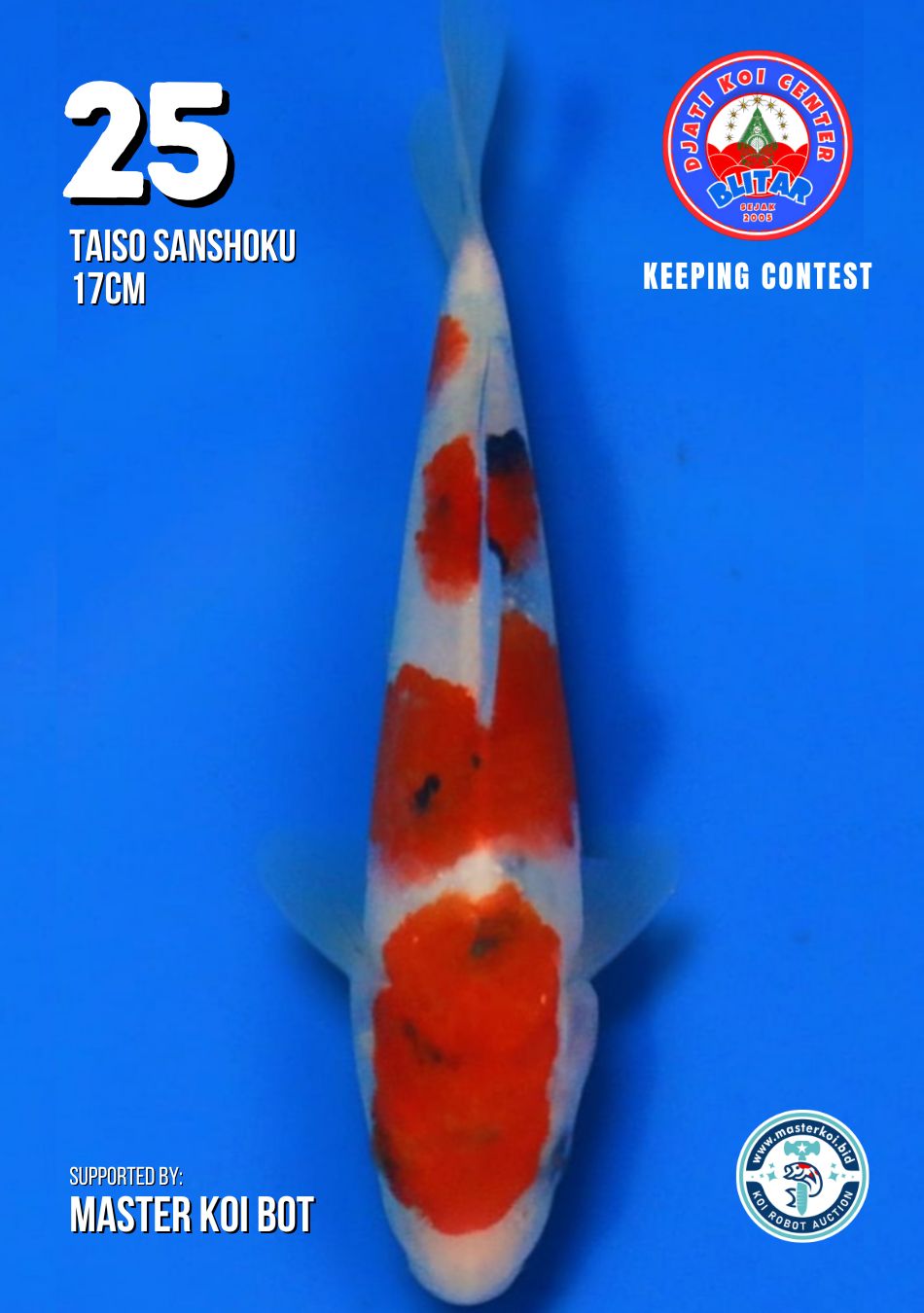 Lelang Koi Online, Jual Beli Ikan Koi, Pusat Jual Beli Koi, Info Lelang Koi Hari Ini, Platform Jual Beli Koi, Jual Beli Ikan Koi Online, Marketplace Ikan Koi, Jual Koi Terbaik, Tempat Beli Koi Berkualitas, Pasar Ikan Koi Online Terpercaya, Penjual Ikan Koi Terpercaya, Beli Koi Hias Online, Ikan Koi untuk Dijual, Koi Kualitas Terbaik, Toko Online Ikan Koi, Koi Hias Untuk Dijual, Jual Beli Ikan Koi Lokal, Koi Indonesia Online, Pusat Jual Beli Koi Terbesar