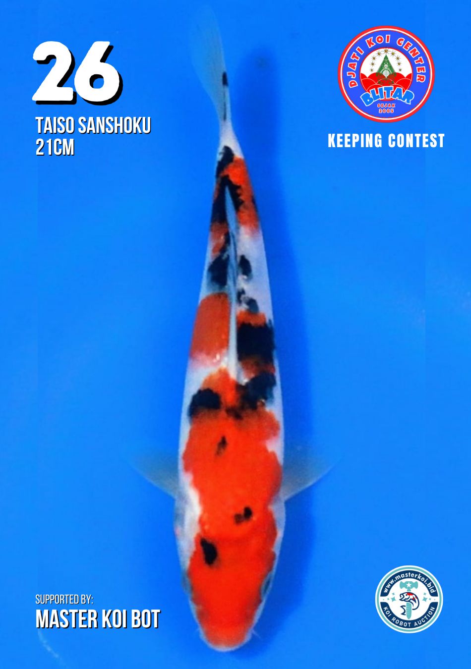 Lelang Koi Online, Jual Beli Ikan Koi, Pusat Jual Beli Koi, Info Lelang Koi Hari Ini, Platform Jual Beli Koi, Jual Beli Ikan Koi Online, Marketplace Ikan Koi, Jual Koi Terbaik, Tempat Beli Koi Berkualitas, Pasar Ikan Koi Online Terpercaya, Penjual Ikan Koi Terpercaya, Beli Koi Hias Online, Ikan Koi untuk Dijual, Koi Kualitas Terbaik, Toko Online Ikan Koi, Koi Hias Untuk Dijual, Jual Beli Ikan Koi Lokal, Koi Indonesia Online, Pusat Jual Beli Koi Terbesar