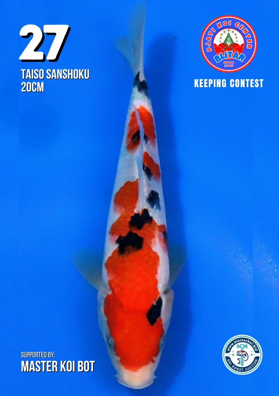 Lelang Koi Online, Jual Beli Ikan Koi, Pusat Jual Beli Koi, Info Lelang Koi Hari Ini, Platform Jual Beli Koi, Jual Beli Ikan Koi Online, Marketplace Ikan Koi, Jual Koi Terbaik, Tempat Beli Koi Berkualitas, Pasar Ikan Koi Online Terpercaya, Penjual Ikan Koi Terpercaya, Beli Koi Hias Online, Ikan Koi untuk Dijual, Koi Kualitas Terbaik, Toko Online Ikan Koi, Koi Hias Untuk Dijual, Jual Beli Ikan Koi Lokal, Koi Indonesia Online, Pusat Jual Beli Koi Terbesar
