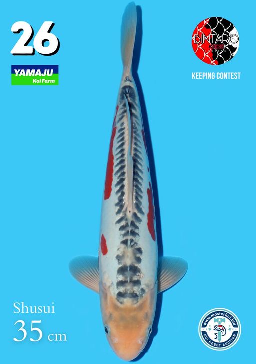 Lelang Koi Online, Jual Beli Ikan Koi, Pusat Jual Beli Koi, Info Lelang Koi Hari Ini, Platform Jual Beli Koi, Jual Beli Ikan Koi Online, Marketplace Ikan Koi, Jual Koi Terbaik, Tempat Beli Koi Berkualitas, Pasar Ikan Koi Online Terpercaya, Penjual Ikan Koi Terpercaya, Beli Koi Hias Online, Ikan Koi untuk Dijual, Koi Kualitas Terbaik, Toko Online Ikan Koi, Koi Hias Untuk Dijual, Jual Beli Ikan Koi Lokal, Koi Indonesia Online, Pusat Jual Beli Koi Terbesar