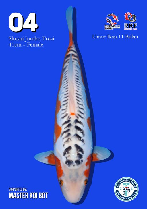 Lelang Koi Online, Jual Beli Ikan Koi, Pusat Jual Beli Koi, Info Lelang Koi Hari Ini, Platform Jual Beli Koi, Jual Beli Ikan Koi Online, Marketplace Ikan Koi, Jual Koi Terbaik, Tempat Beli Koi Berkualitas, Pasar Ikan Koi Online Terpercaya, Penjual Ikan Koi Terpercaya, Beli Koi Hias Online, Ikan Koi untuk Dijual, Koi Kualitas Terbaik, Toko Online Ikan Koi, Koi Hias Untuk Dijual, Jual Beli Ikan Koi Lokal, Koi Indonesia Online, Pusat Jual Beli Koi Terbesar