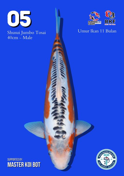 Lelang Koi Online, Jual Beli Ikan Koi, Pusat Jual Beli Koi, Info Lelang Koi Hari Ini, Platform Jual Beli Koi, Jual Beli Ikan Koi Online, Marketplace Ikan Koi, Jual Koi Terbaik, Tempat Beli Koi Berkualitas, Pasar Ikan Koi Online Terpercaya, Penjual Ikan Koi Terpercaya, Beli Koi Hias Online, Ikan Koi untuk Dijual, Koi Kualitas Terbaik, Toko Online Ikan Koi, Koi Hias Untuk Dijual, Jual Beli Ikan Koi Lokal, Koi Indonesia Online, Pusat Jual Beli Koi Terbesar