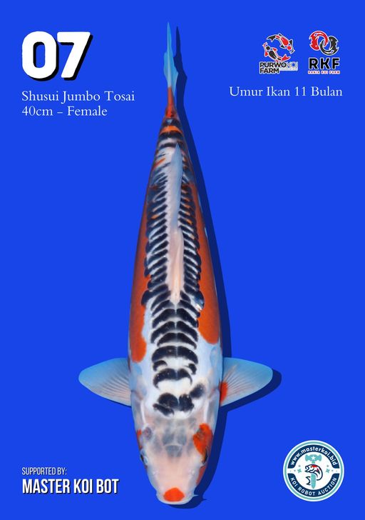 Lelang Koi Online, Jual Beli Ikan Koi, Pusat Jual Beli Koi, Info Lelang Koi Hari Ini, Platform Jual Beli Koi, Jual Beli Ikan Koi Online, Marketplace Ikan Koi, Jual Koi Terbaik, Tempat Beli Koi Berkualitas, Pasar Ikan Koi Online Terpercaya, Penjual Ikan Koi Terpercaya, Beli Koi Hias Online, Ikan Koi untuk Dijual, Koi Kualitas Terbaik, Toko Online Ikan Koi, Koi Hias Untuk Dijual, Jual Beli Ikan Koi Lokal, Koi Indonesia Online, Pusat Jual Beli Koi Terbesar