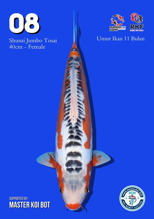 Lelang Koi Online, Jual Beli Ikan Koi, Pusat Jual Beli Koi, Info Lelang Koi Hari Ini, Platform Jual Beli Koi, Jual Beli Ikan Koi Online, Marketplace Ikan Koi, Jual Koi Terbaik, Tempat Beli Koi Berkualitas, Pasar Ikan Koi Online Terpercaya, Penjual Ikan Koi Terpercaya, Beli Koi Hias Online, Ikan Koi untuk Dijual, Koi Kualitas Terbaik, Toko Online Ikan Koi, Koi Hias Untuk Dijual, Jual Beli Ikan Koi Lokal, Koi Indonesia Online, Pusat Jual Beli Koi Terbesar