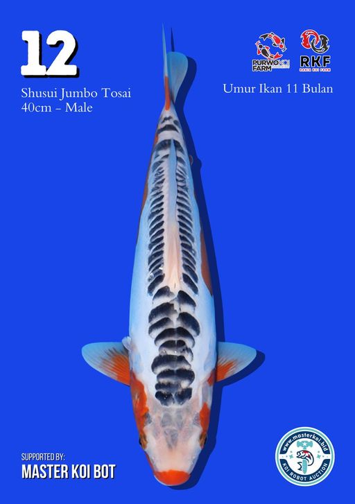 Lelang Koi Online, Jual Beli Ikan Koi, Pusat Jual Beli Koi, Info Lelang Koi Hari Ini, Platform Jual Beli Koi, Jual Beli Ikan Koi Online, Marketplace Ikan Koi, Jual Koi Terbaik, Tempat Beli Koi Berkualitas, Pasar Ikan Koi Online Terpercaya, Penjual Ikan Koi Terpercaya, Beli Koi Hias Online, Ikan Koi untuk Dijual, Koi Kualitas Terbaik, Toko Online Ikan Koi, Koi Hias Untuk Dijual, Jual Beli Ikan Koi Lokal, Koi Indonesia Online, Pusat Jual Beli Koi Terbesar
