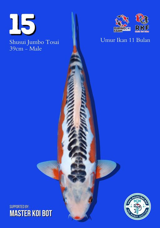 Lelang Koi Online, Jual Beli Ikan Koi, Pusat Jual Beli Koi, Info Lelang Koi Hari Ini, Platform Jual Beli Koi, Jual Beli Ikan Koi Online, Marketplace Ikan Koi, Jual Koi Terbaik, Tempat Beli Koi Berkualitas, Pasar Ikan Koi Online Terpercaya, Penjual Ikan Koi Terpercaya, Beli Koi Hias Online, Ikan Koi untuk Dijual, Koi Kualitas Terbaik, Toko Online Ikan Koi, Koi Hias Untuk Dijual, Jual Beli Ikan Koi Lokal, Koi Indonesia Online, Pusat Jual Beli Koi Terbesar