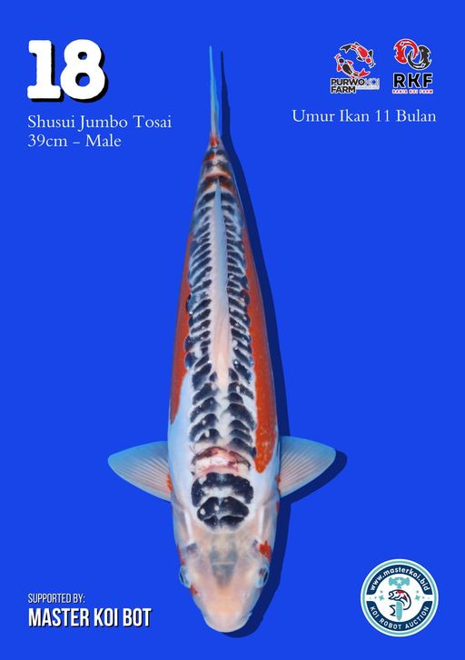 Lelang Koi Online, Jual Beli Ikan Koi, Pusat Jual Beli Koi, Info Lelang Koi Hari Ini, Platform Jual Beli Koi, Jual Beli Ikan Koi Online, Marketplace Ikan Koi, Jual Koi Terbaik, Tempat Beli Koi Berkualitas, Pasar Ikan Koi Online Terpercaya, Penjual Ikan Koi Terpercaya, Beli Koi Hias Online, Ikan Koi untuk Dijual, Koi Kualitas Terbaik, Toko Online Ikan Koi, Koi Hias Untuk Dijual, Jual Beli Ikan Koi Lokal, Koi Indonesia Online, Pusat Jual Beli Koi Terbesar