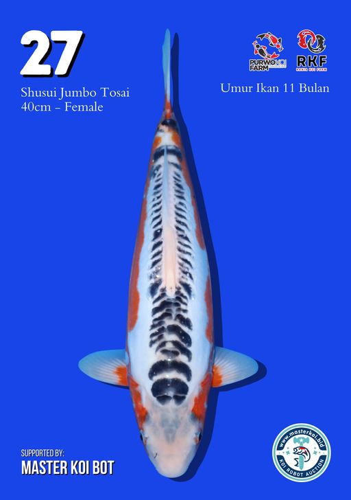 Lelang Koi Online, Jual Beli Ikan Koi, Pusat Jual Beli Koi, Info Lelang Koi Hari Ini, Platform Jual Beli Koi, Jual Beli Ikan Koi Online, Marketplace Ikan Koi, Jual Koi Terbaik, Tempat Beli Koi Berkualitas, Pasar Ikan Koi Online Terpercaya, Penjual Ikan Koi Terpercaya, Beli Koi Hias Online, Ikan Koi untuk Dijual, Koi Kualitas Terbaik, Toko Online Ikan Koi, Koi Hias Untuk Dijual, Jual Beli Ikan Koi Lokal, Koi Indonesia Online, Pusat Jual Beli Koi Terbesar