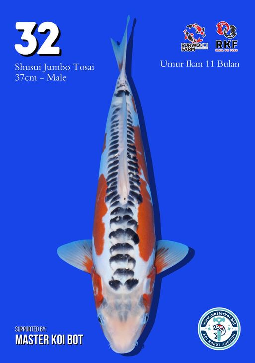Lelang Koi Online, Jual Beli Ikan Koi, Pusat Jual Beli Koi, Info Lelang Koi Hari Ini, Platform Jual Beli Koi, Jual Beli Ikan Koi Online, Marketplace Ikan Koi, Jual Koi Terbaik, Tempat Beli Koi Berkualitas, Pasar Ikan Koi Online Terpercaya, Penjual Ikan Koi Terpercaya, Beli Koi Hias Online, Ikan Koi untuk Dijual, Koi Kualitas Terbaik, Toko Online Ikan Koi, Koi Hias Untuk Dijual, Jual Beli Ikan Koi Lokal, Koi Indonesia Online, Pusat Jual Beli Koi Terbesar
