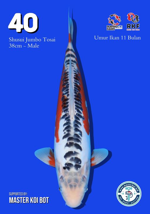 Lelang Koi Online, Jual Beli Ikan Koi, Pusat Jual Beli Koi, Info Lelang Koi Hari Ini, Platform Jual Beli Koi, Jual Beli Ikan Koi Online, Marketplace Ikan Koi, Jual Koi Terbaik, Tempat Beli Koi Berkualitas, Pasar Ikan Koi Online Terpercaya, Penjual Ikan Koi Terpercaya, Beli Koi Hias Online, Ikan Koi untuk Dijual, Koi Kualitas Terbaik, Toko Online Ikan Koi, Koi Hias Untuk Dijual, Jual Beli Ikan Koi Lokal, Koi Indonesia Online, Pusat Jual Beli Koi Terbesar