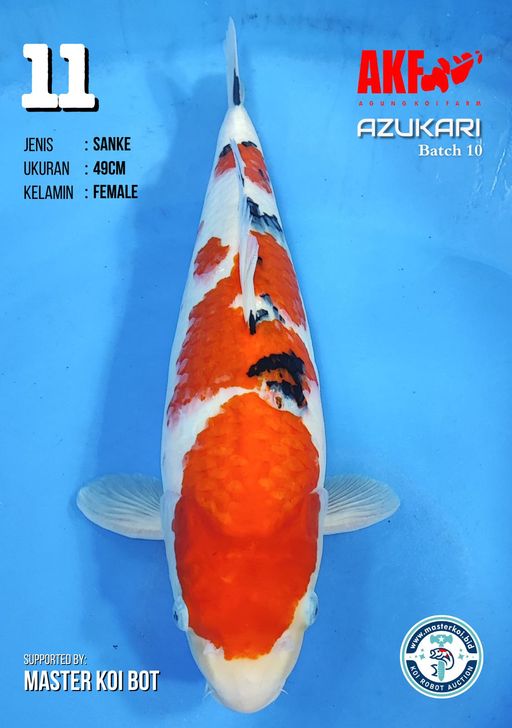 Lelang Koi Online, Jual Beli Ikan Koi, Pusat Jual Beli Koi, Info Lelang Koi Hari Ini, Platform Jual Beli Koi, Jual Beli Ikan Koi Online, Marketplace Ikan Koi, Jual Koi Terbaik, Tempat Beli Koi Berkualitas, Pasar Ikan Koi Online Terpercaya, Penjual Ikan Koi Terpercaya, Beli Koi Hias Online, Ikan Koi untuk Dijual, Koi Kualitas Terbaik, Toko Online Ikan Koi, Koi Hias Untuk Dijual, Jual Beli Ikan Koi Lokal, Koi Indonesia Online, Pusat Jual Beli Koi Terbesar