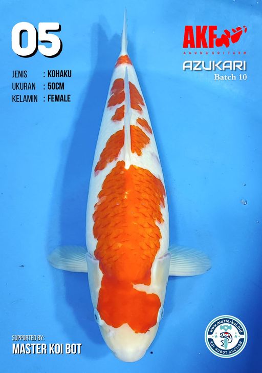 Lelang Koi Online, Jual Beli Ikan Koi, Pusat Jual Beli Koi, Info Lelang Koi Hari Ini, Platform Jual Beli Koi, Jual Beli Ikan Koi Online, Marketplace Ikan Koi, Jual Koi Terbaik, Tempat Beli Koi Berkualitas, Pasar Ikan Koi Online Terpercaya, Penjual Ikan Koi Terpercaya, Beli Koi Hias Online, Ikan Koi untuk Dijual, Koi Kualitas Terbaik, Toko Online Ikan Koi, Koi Hias Untuk Dijual, Jual Beli Ikan Koi Lokal, Koi Indonesia Online, Pusat Jual Beli Koi Terbesar